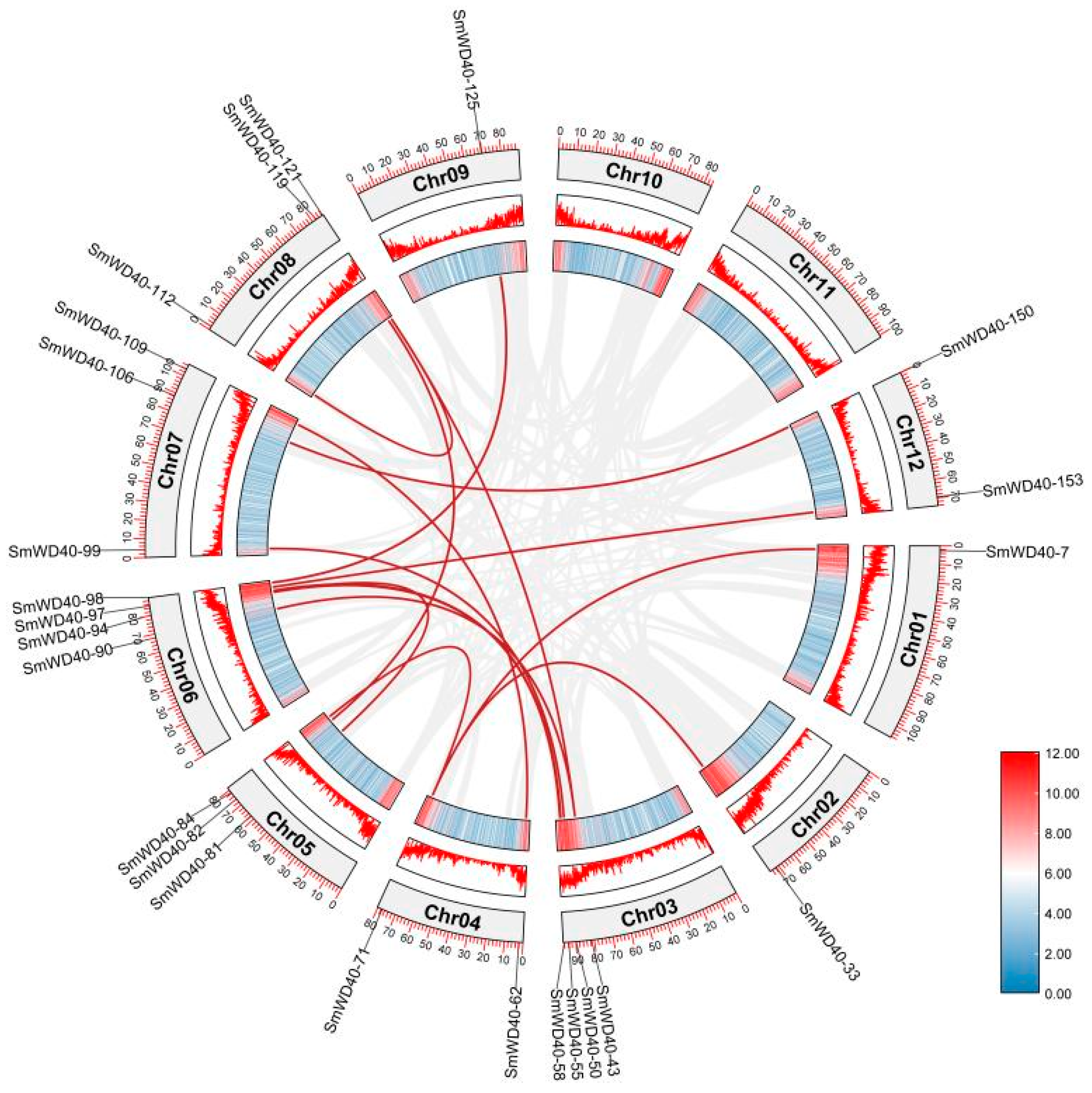 Agronomy 14 00521 g004