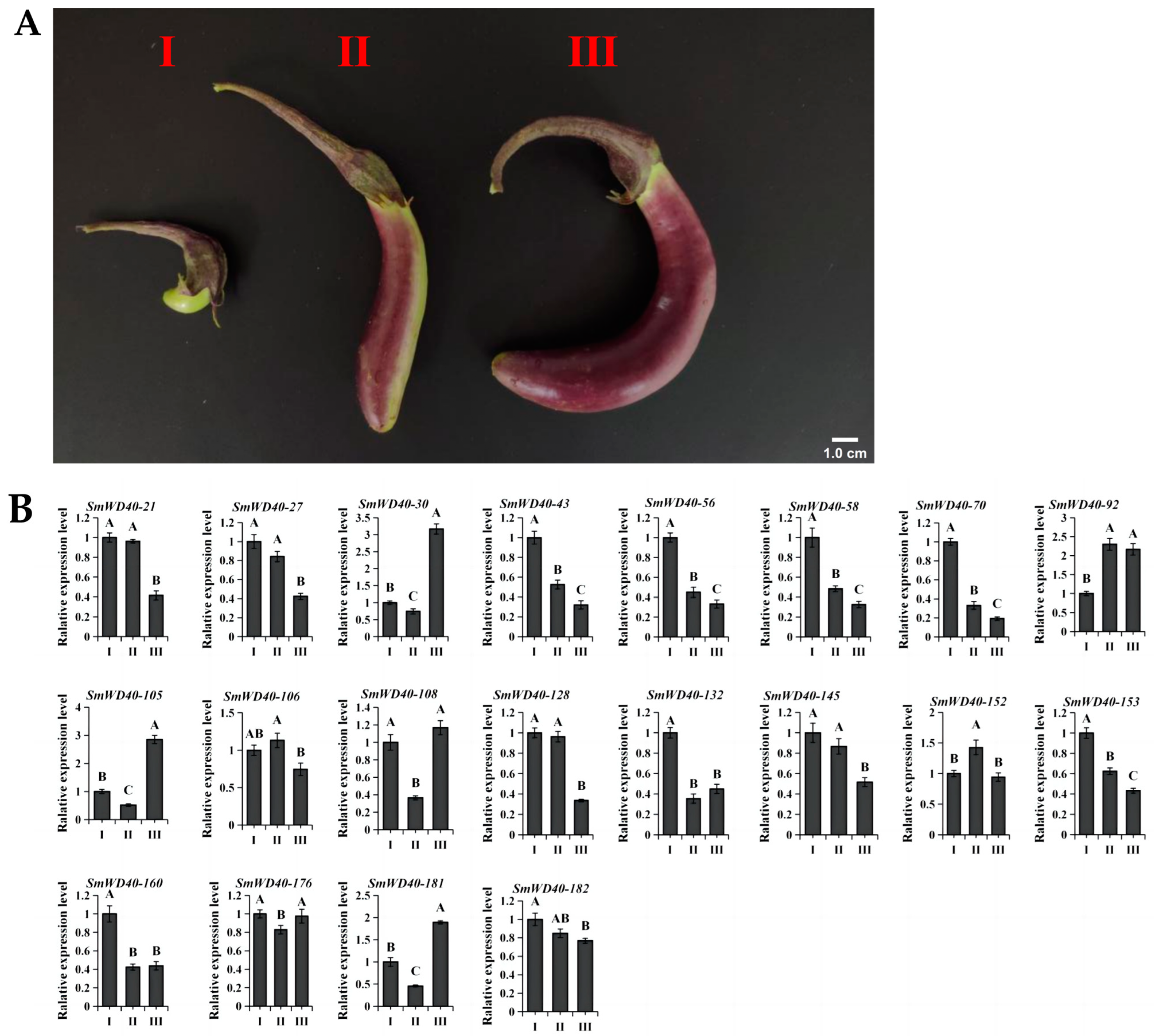 Agronomy 14 00521 g005