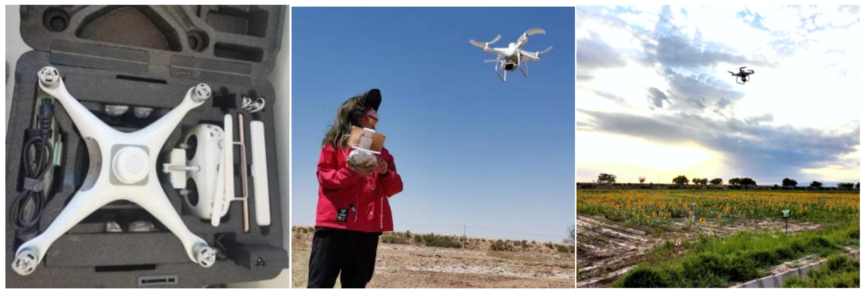 Agronomy 14 00523 g002