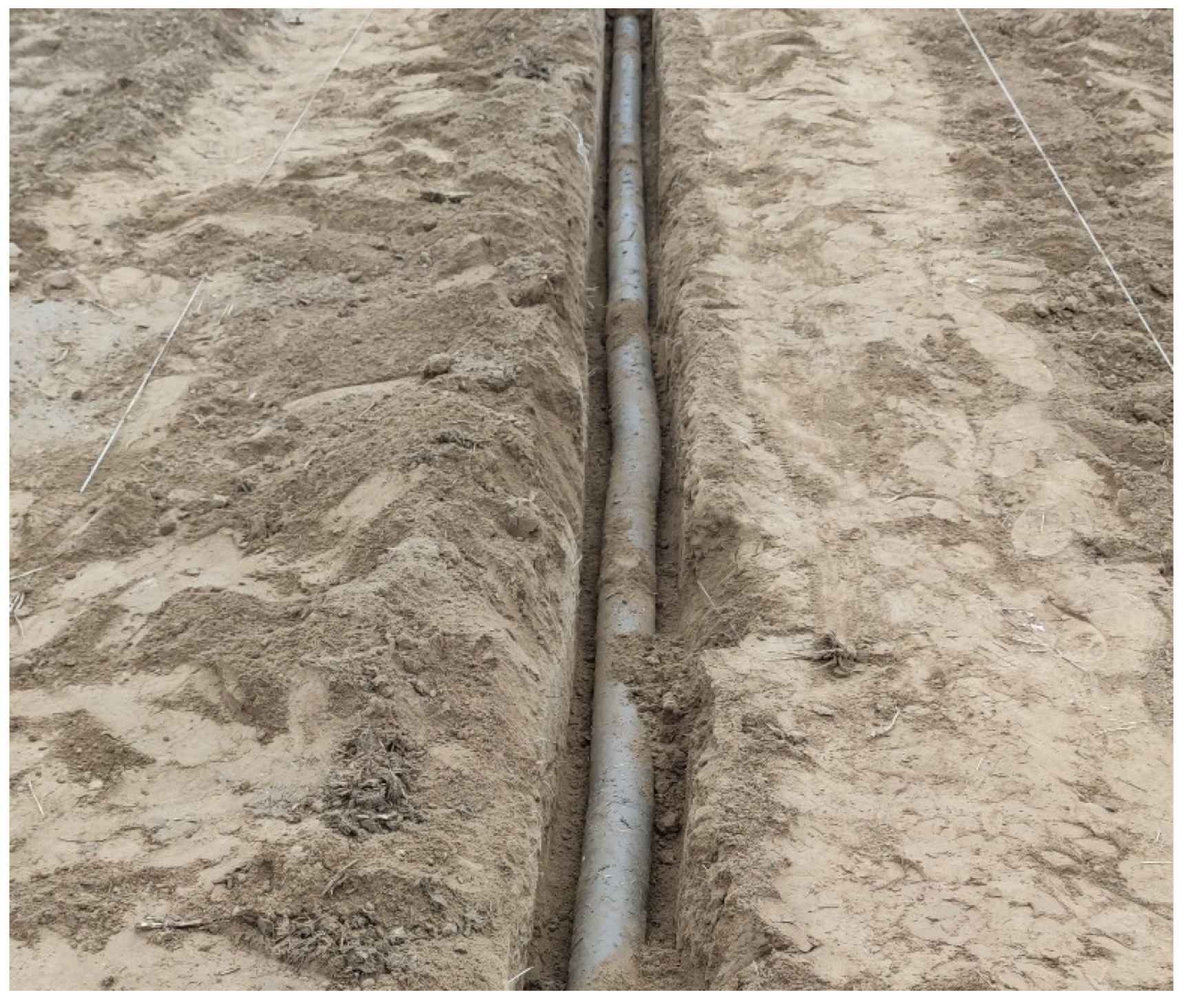 Agronomy 14 00529 g001