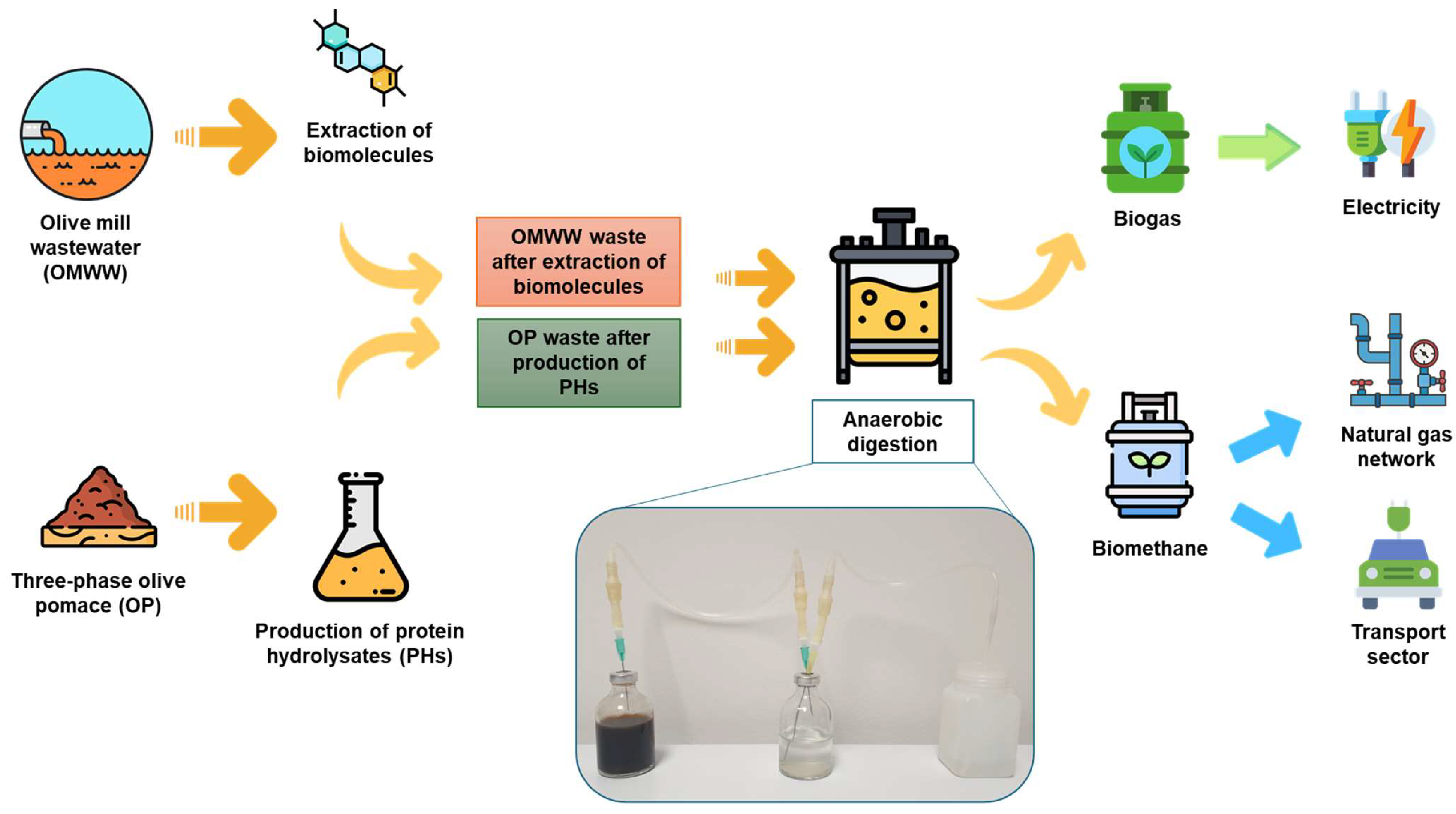 Agronomy 14 00531 g001