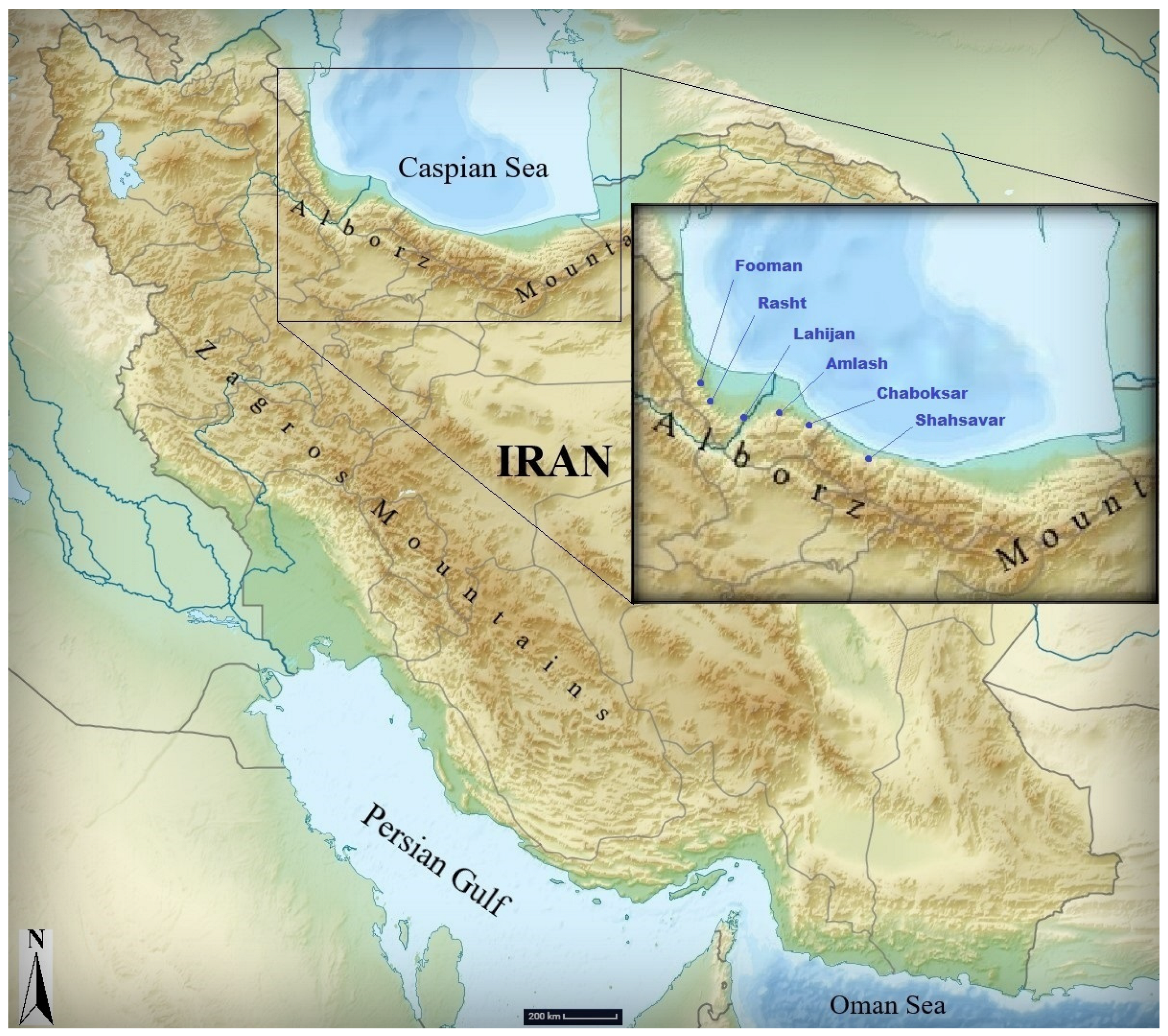 Agronomy 14 00533 g001