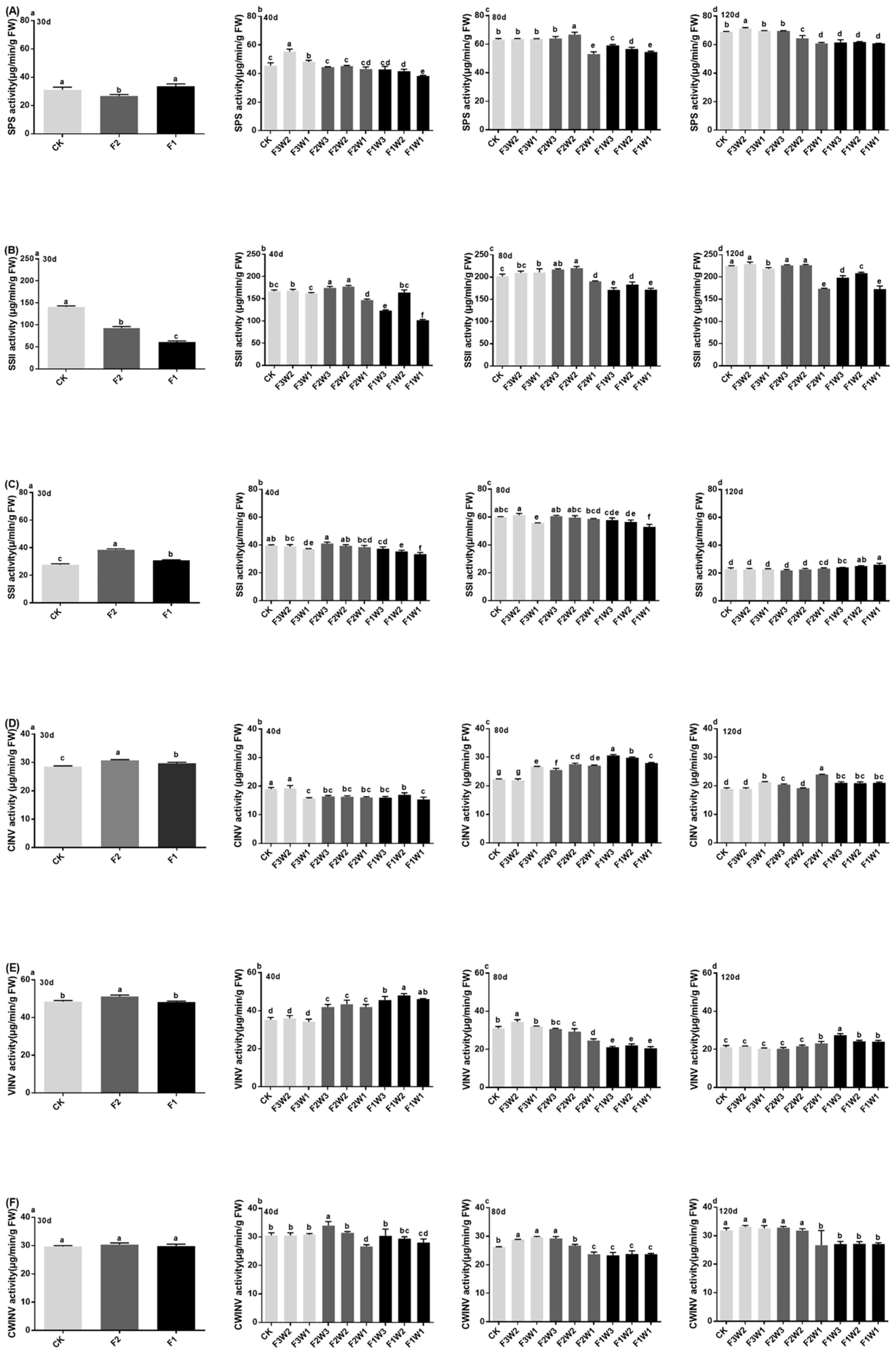 Agronomy 14 00539 g002
