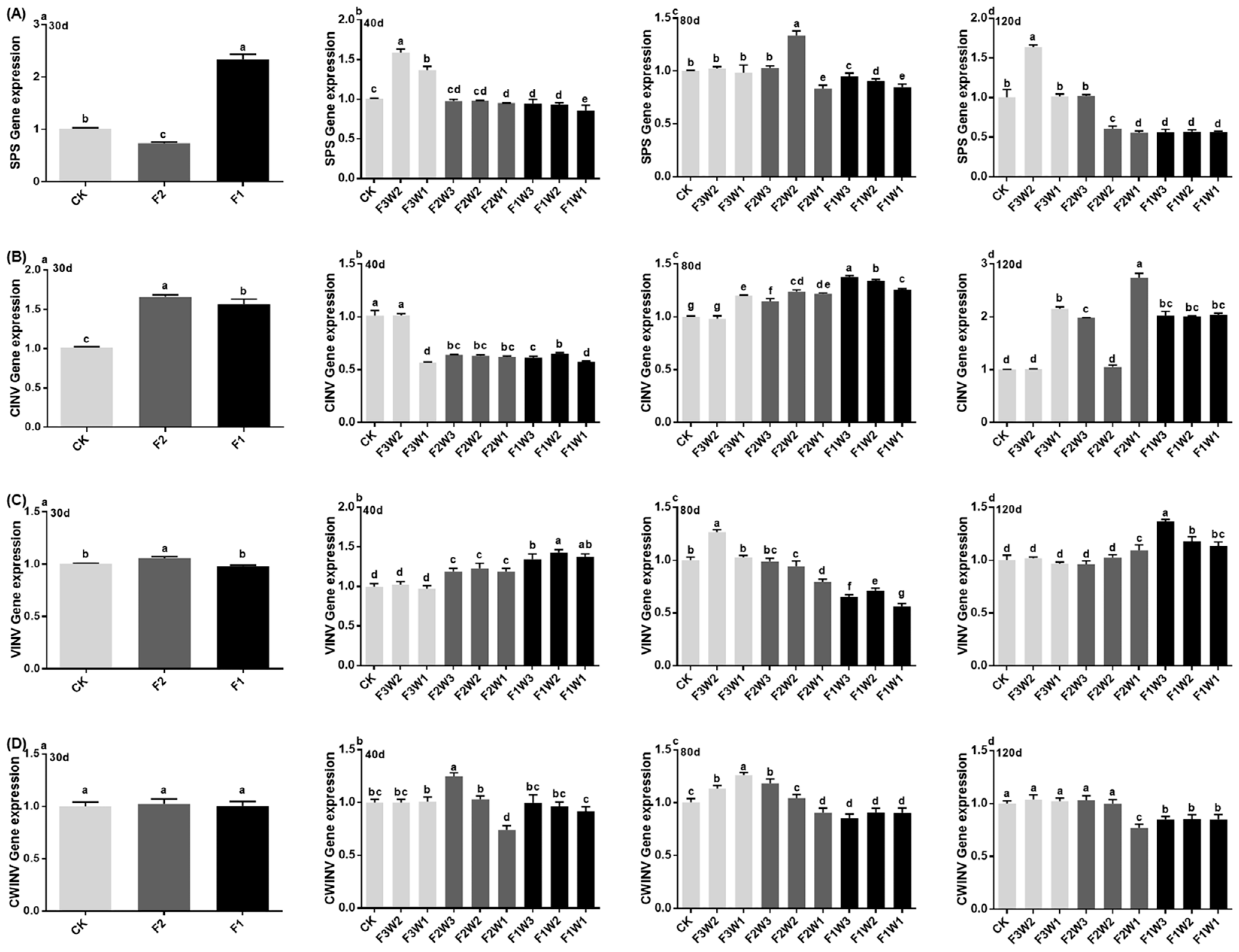 Agronomy 14 00539 g003