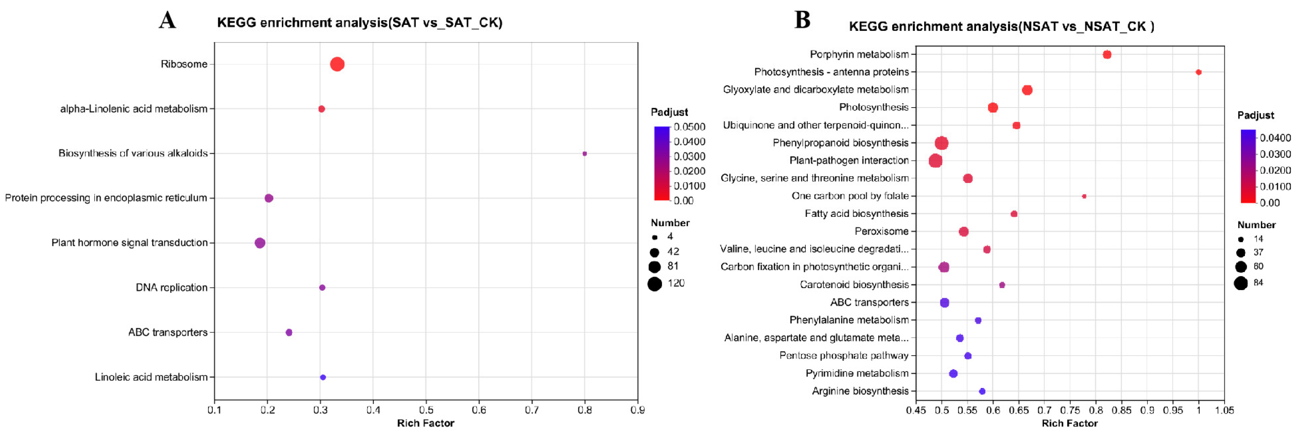 Agronomy 14 00543 g003