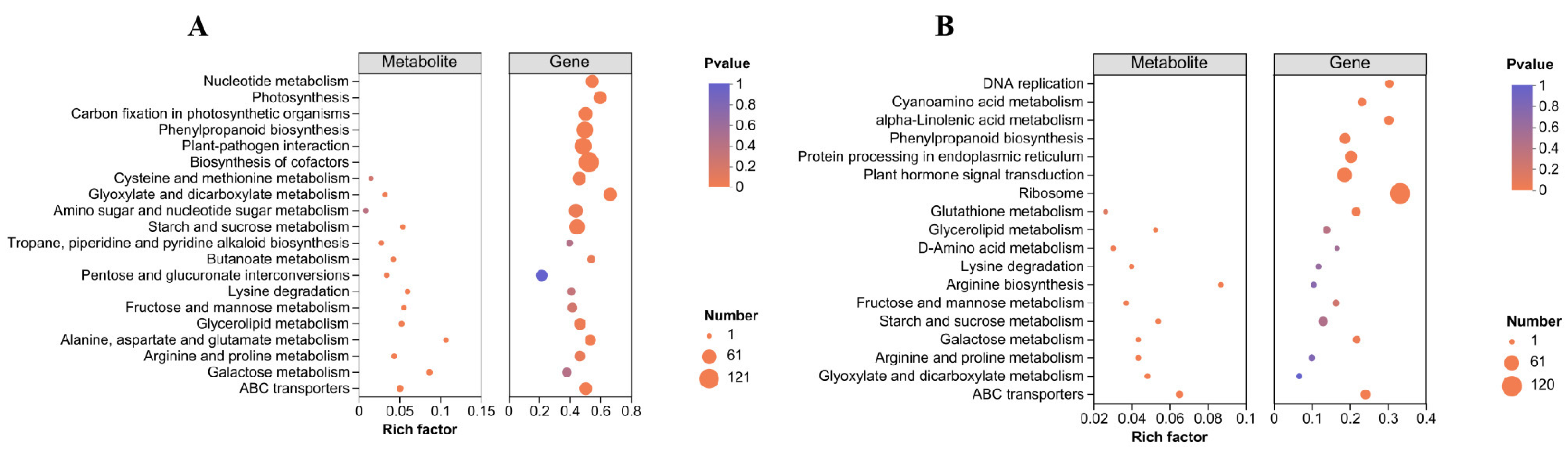 Agronomy 14 00543 g007