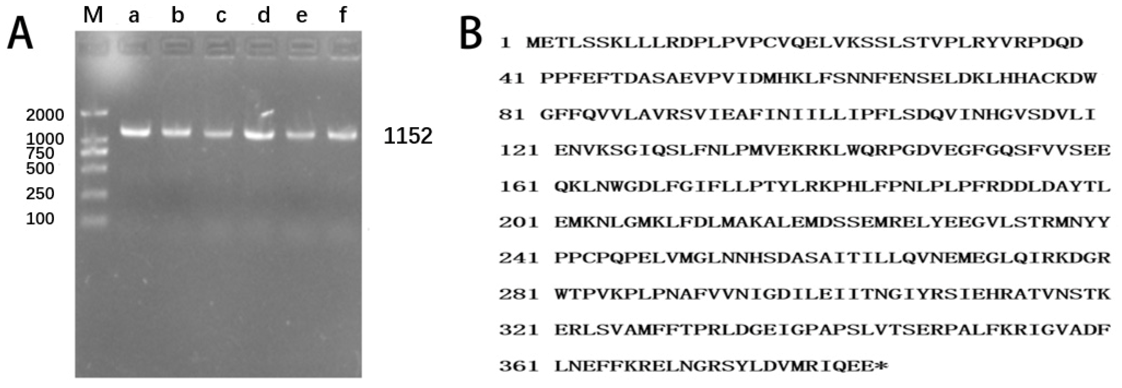 Agronomy 14 00543 g009