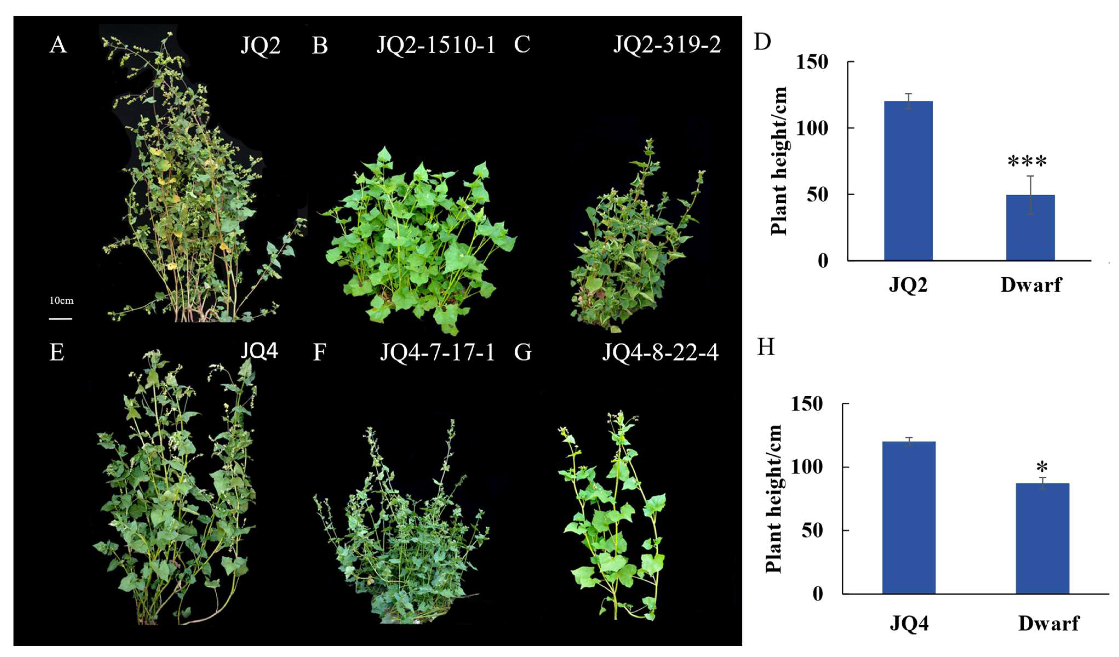 Agronomy 14 00547 g001 Agronomy 14 00547 g001