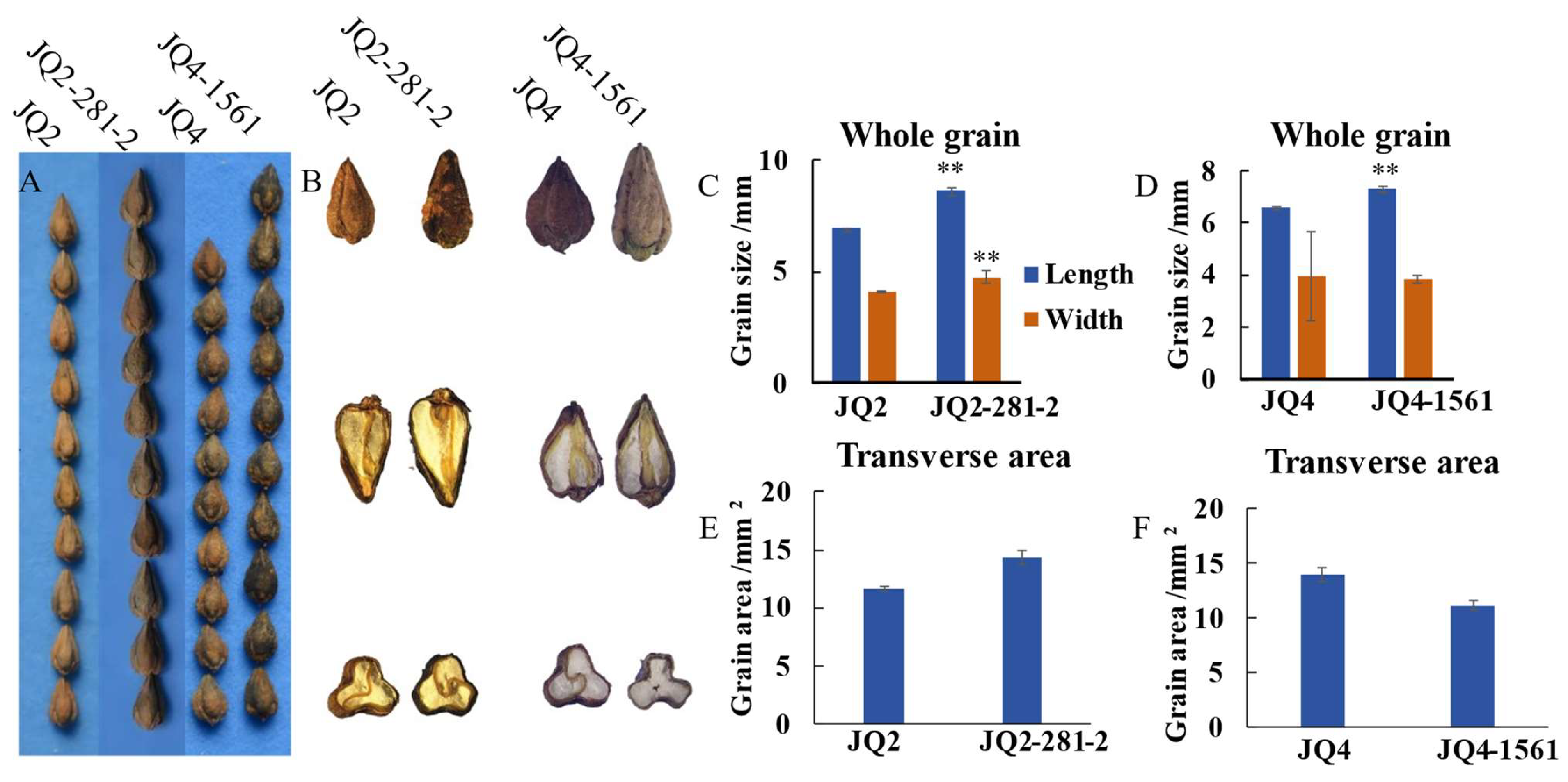 Agronomy 14 00547 g003 Agronomy 14 00547 g003