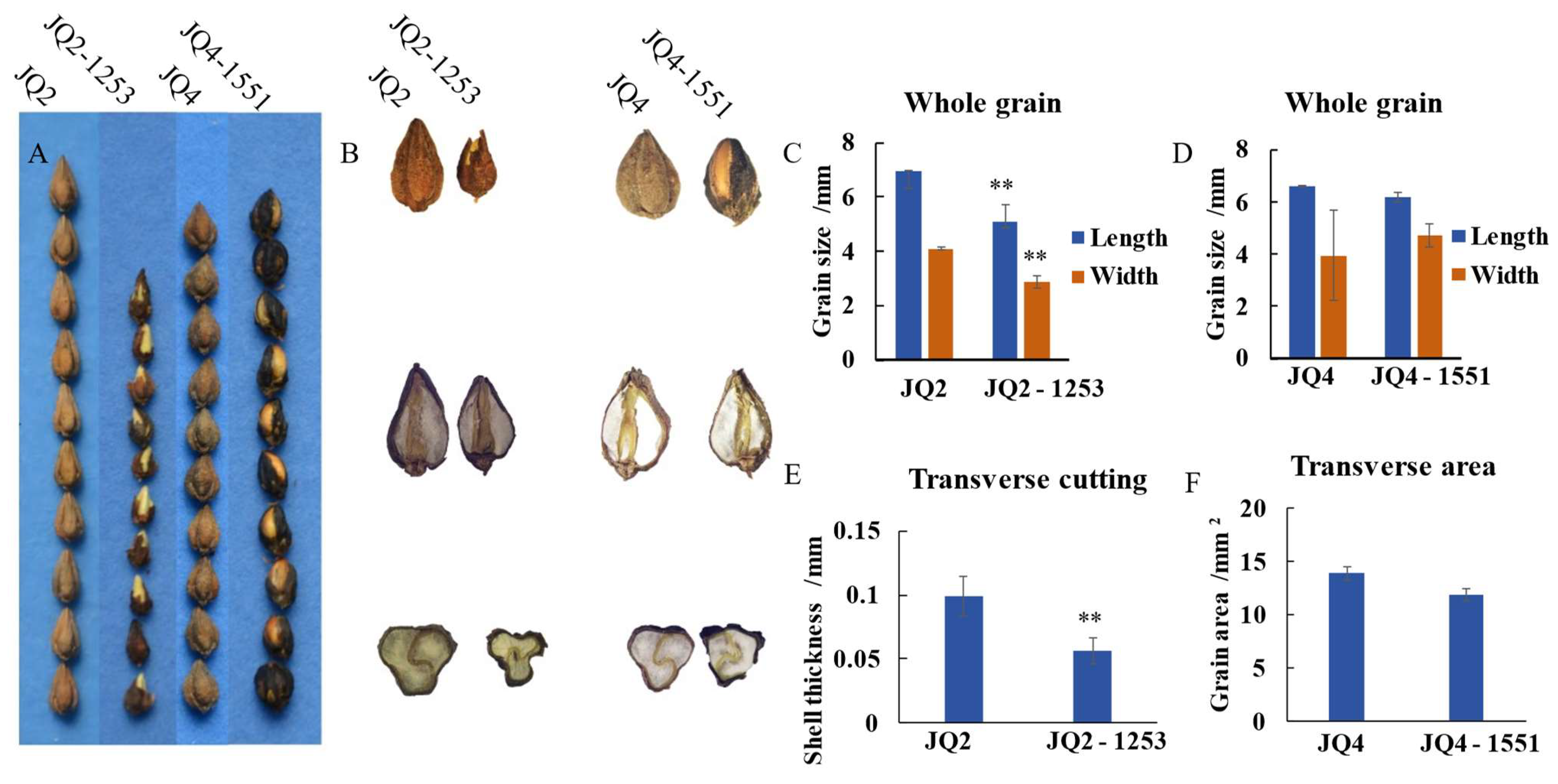 Agronomy 14 00547 g004 Agronomy 14 00547 g004