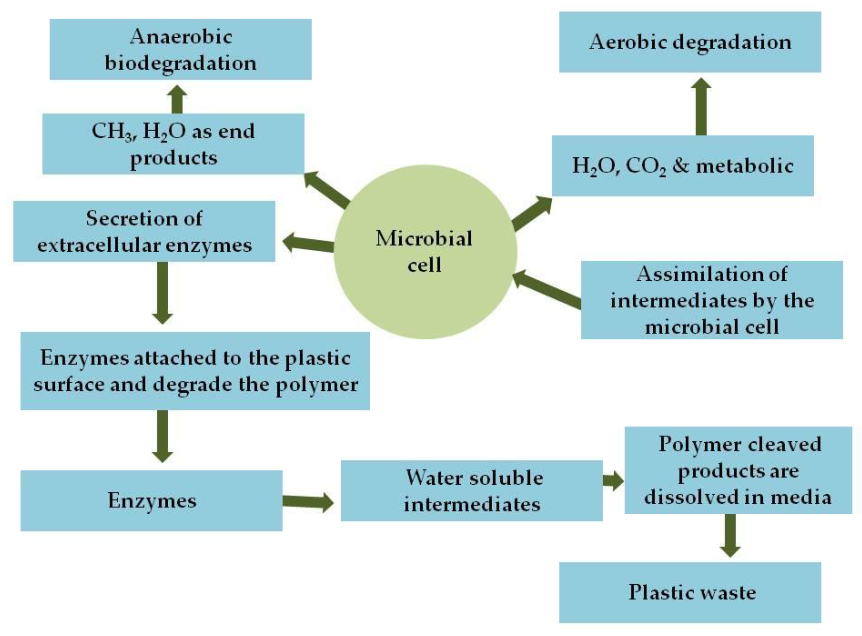 Agronomy 14 00548 g006
