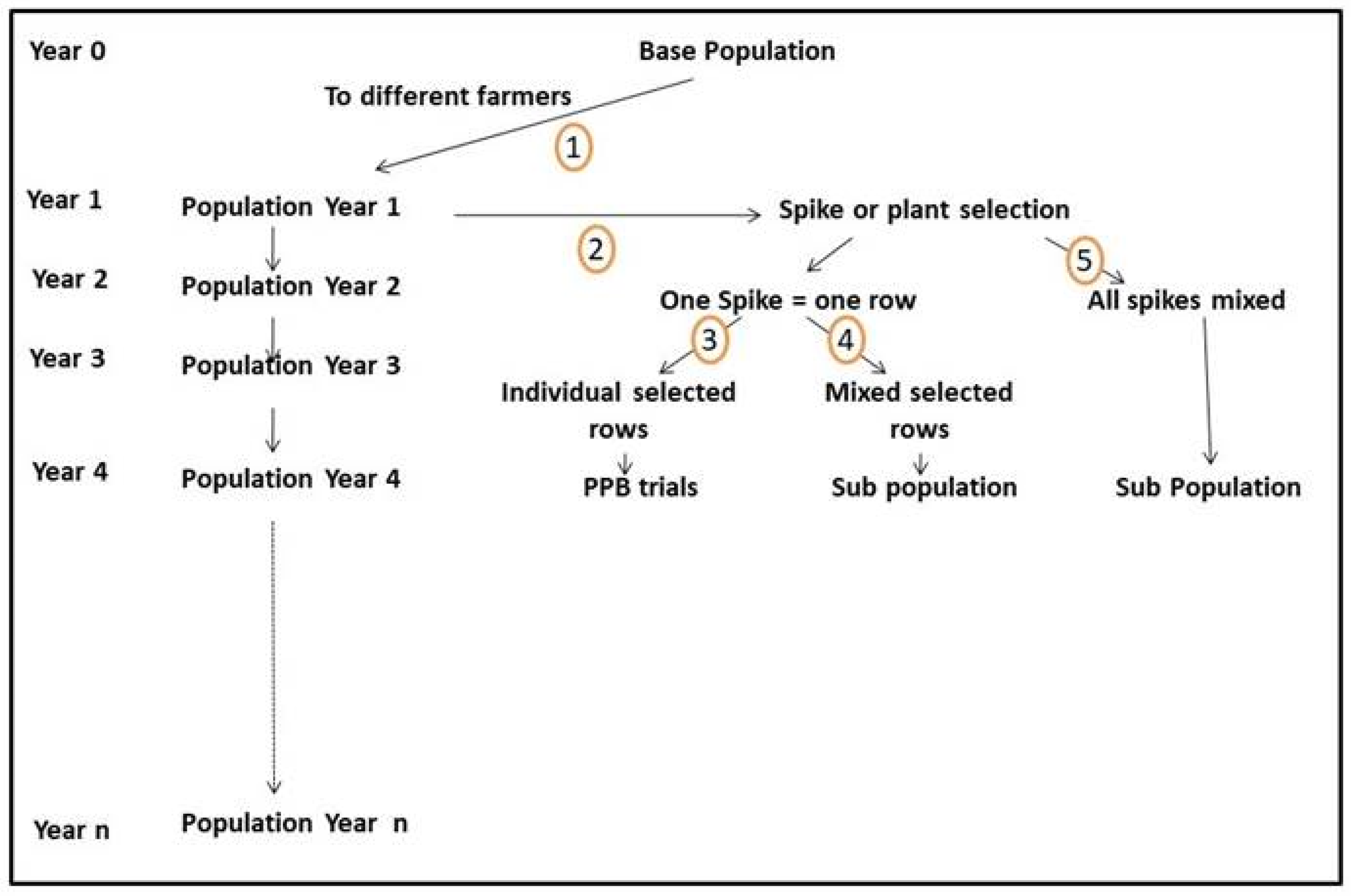 Agronomy 14 00550 g002