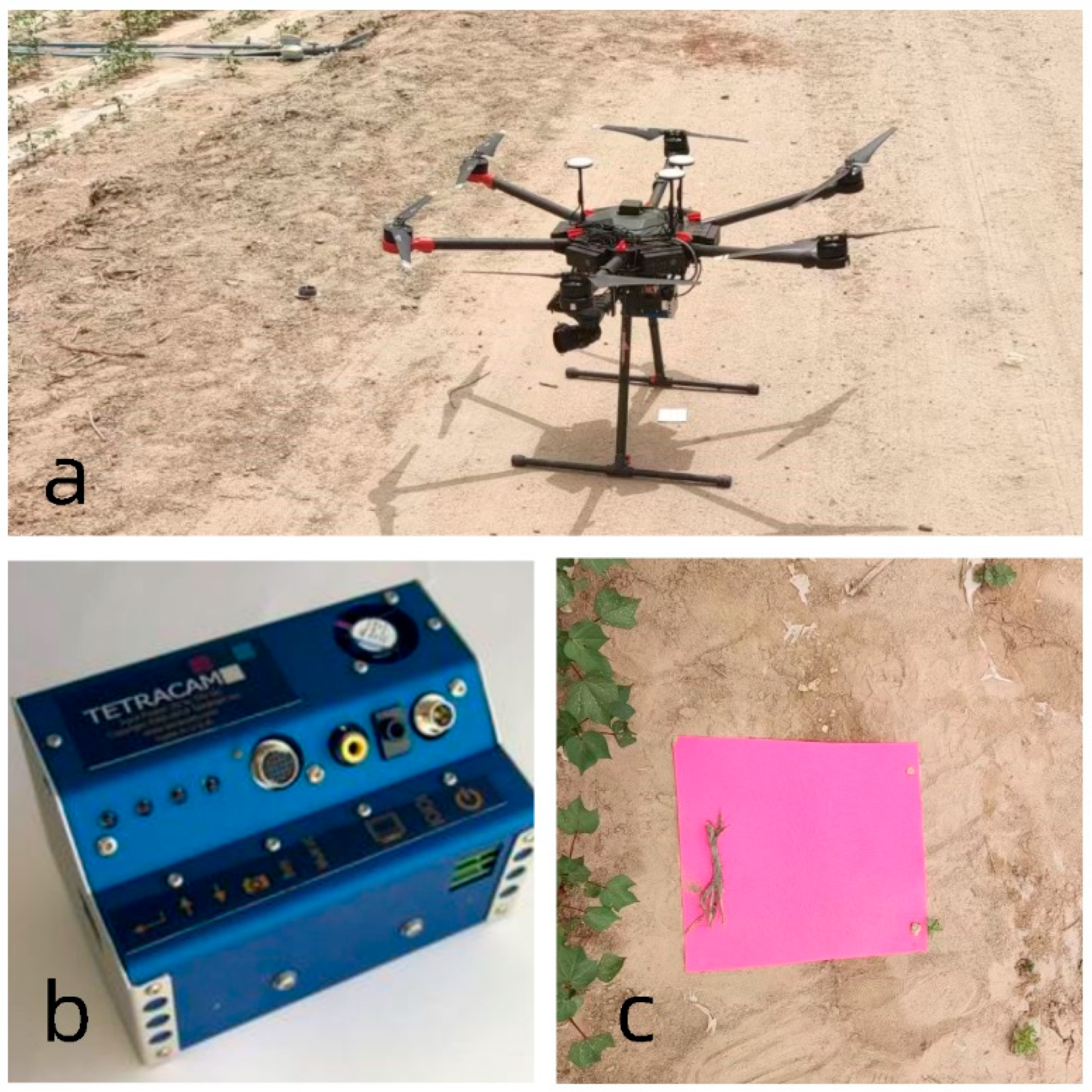 Agronomy 14 00552 g003