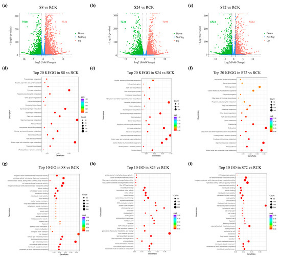 その他 sa-ra Photodynamic Effectiveness of Copper-Iminopyridine
