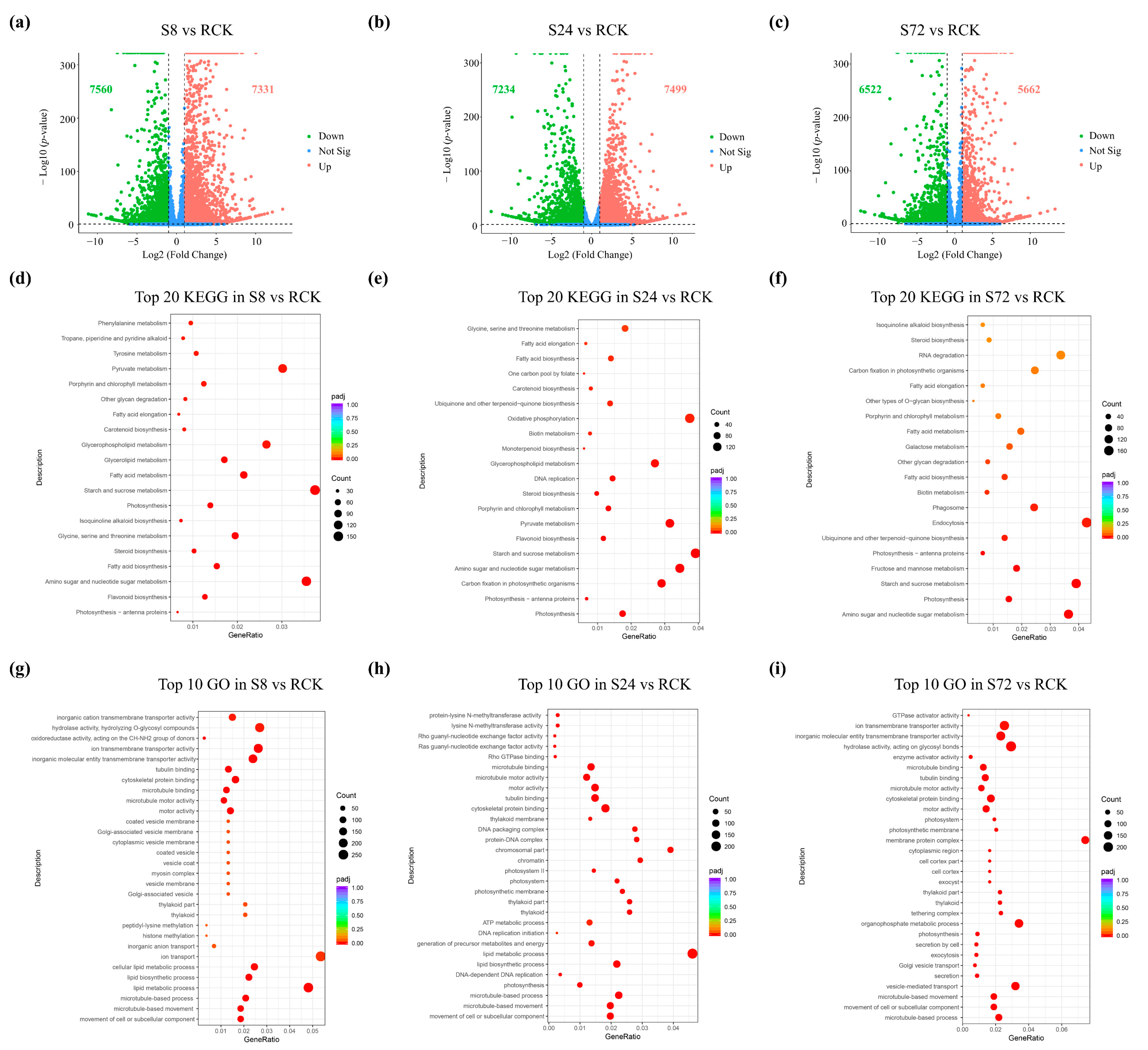 Comparative Transcript Profiling of Resistant and
