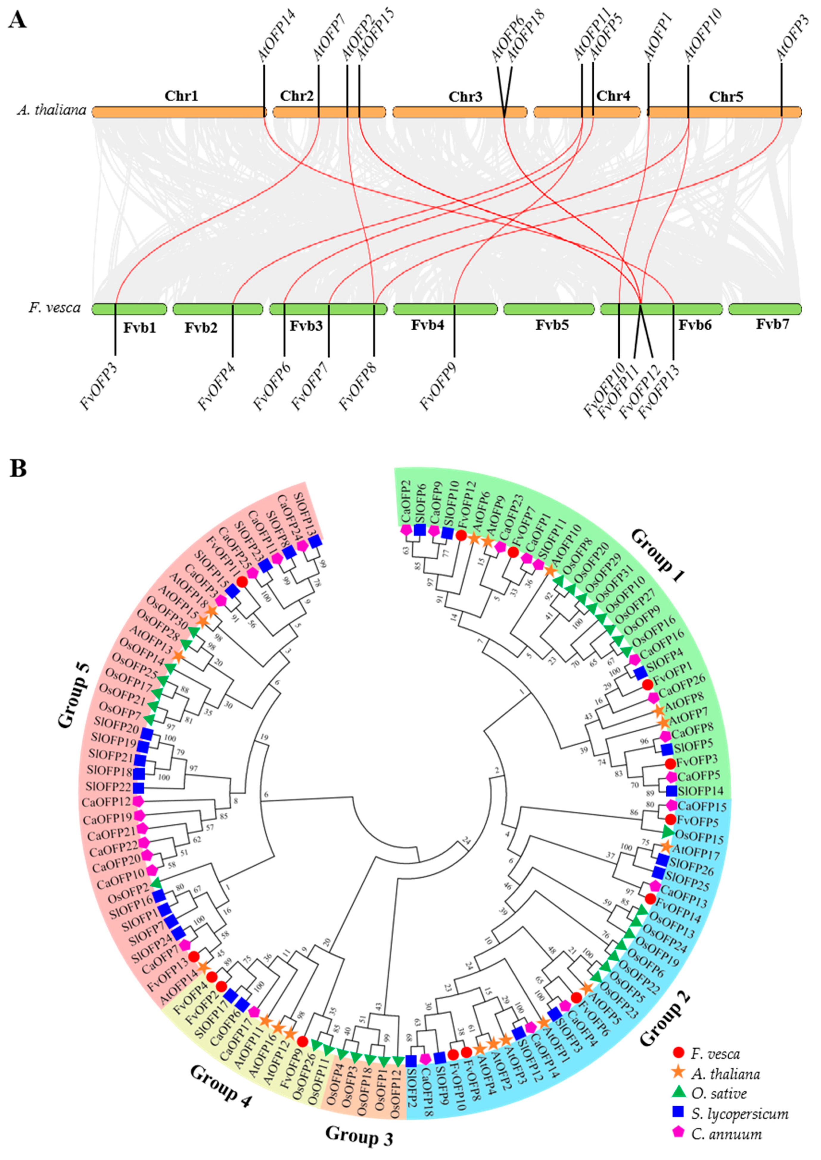Agronomy 14 00569 g002
