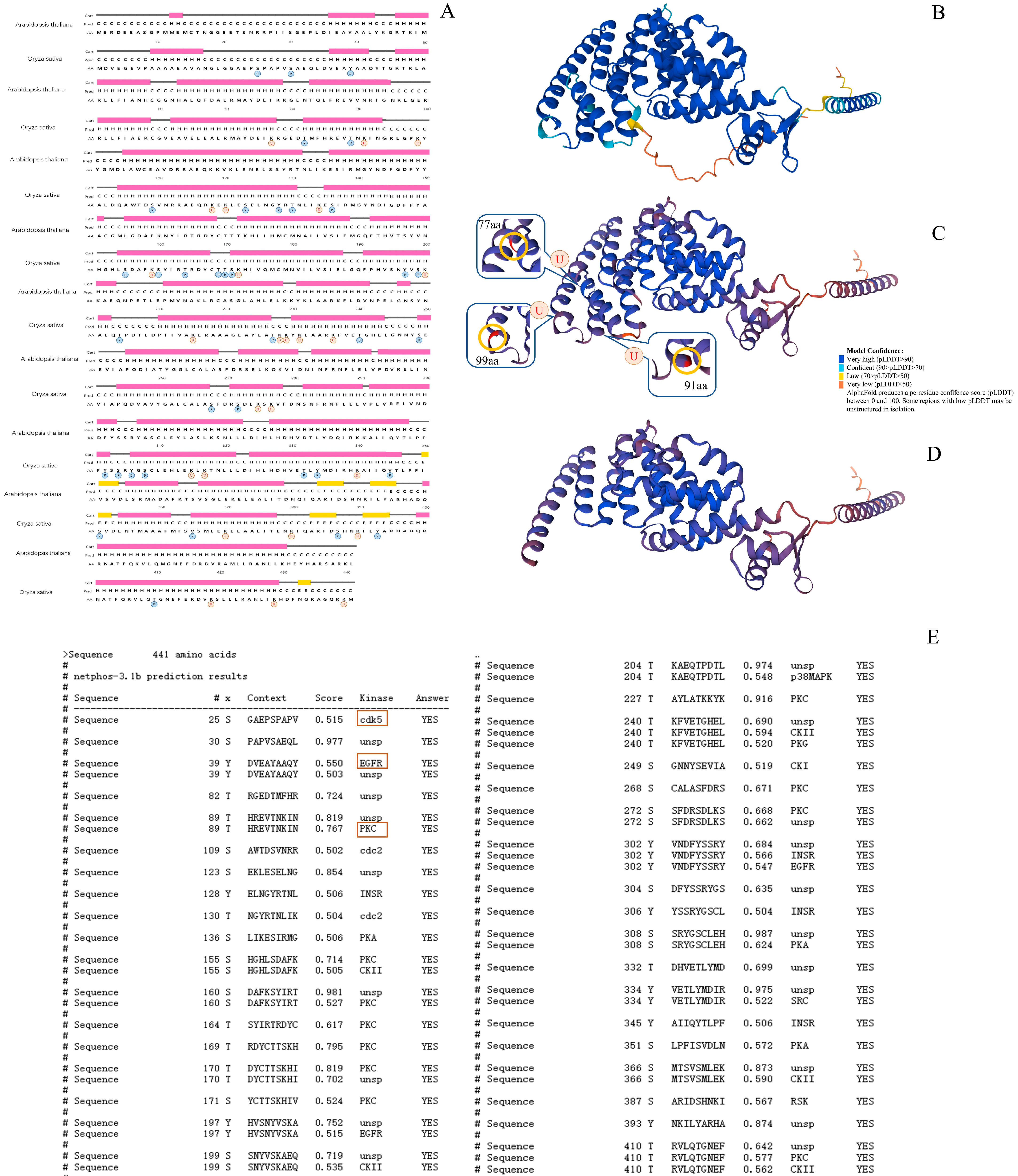 Agronomy 14 00572 g001