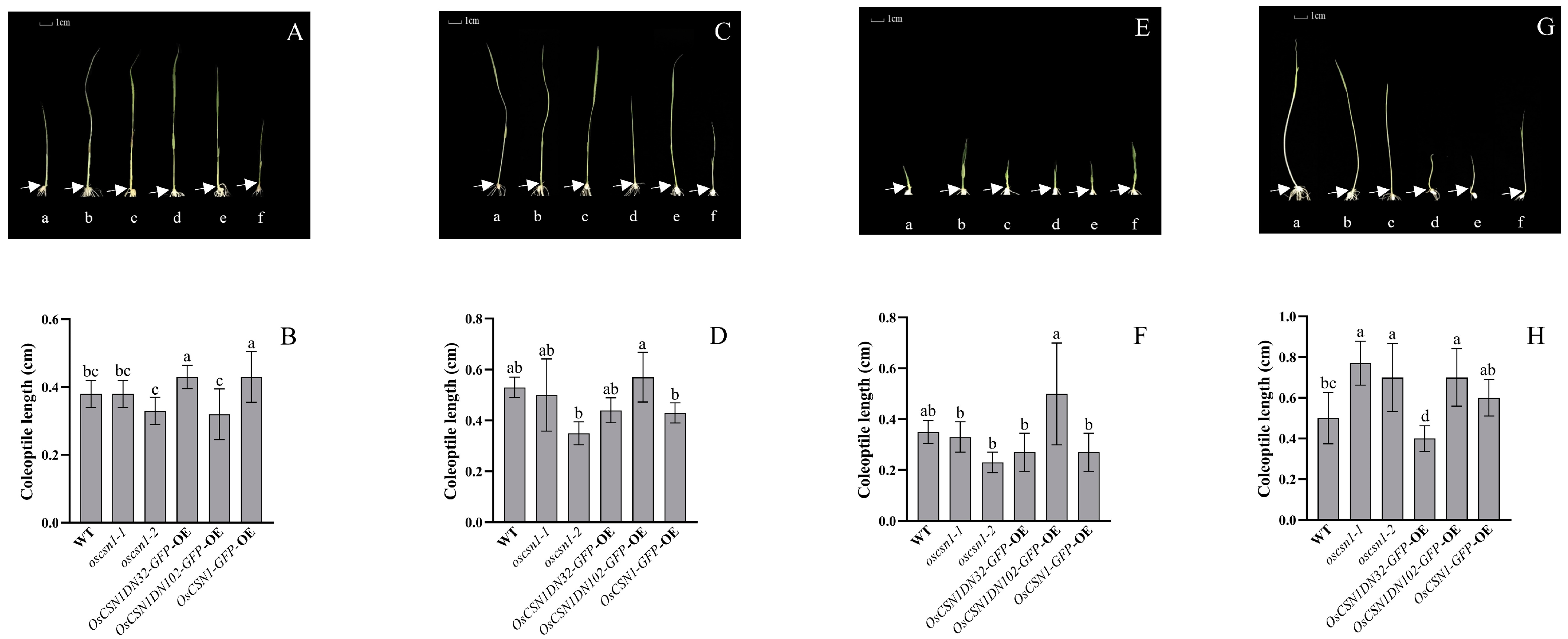 Agronomy 14 00572 g003