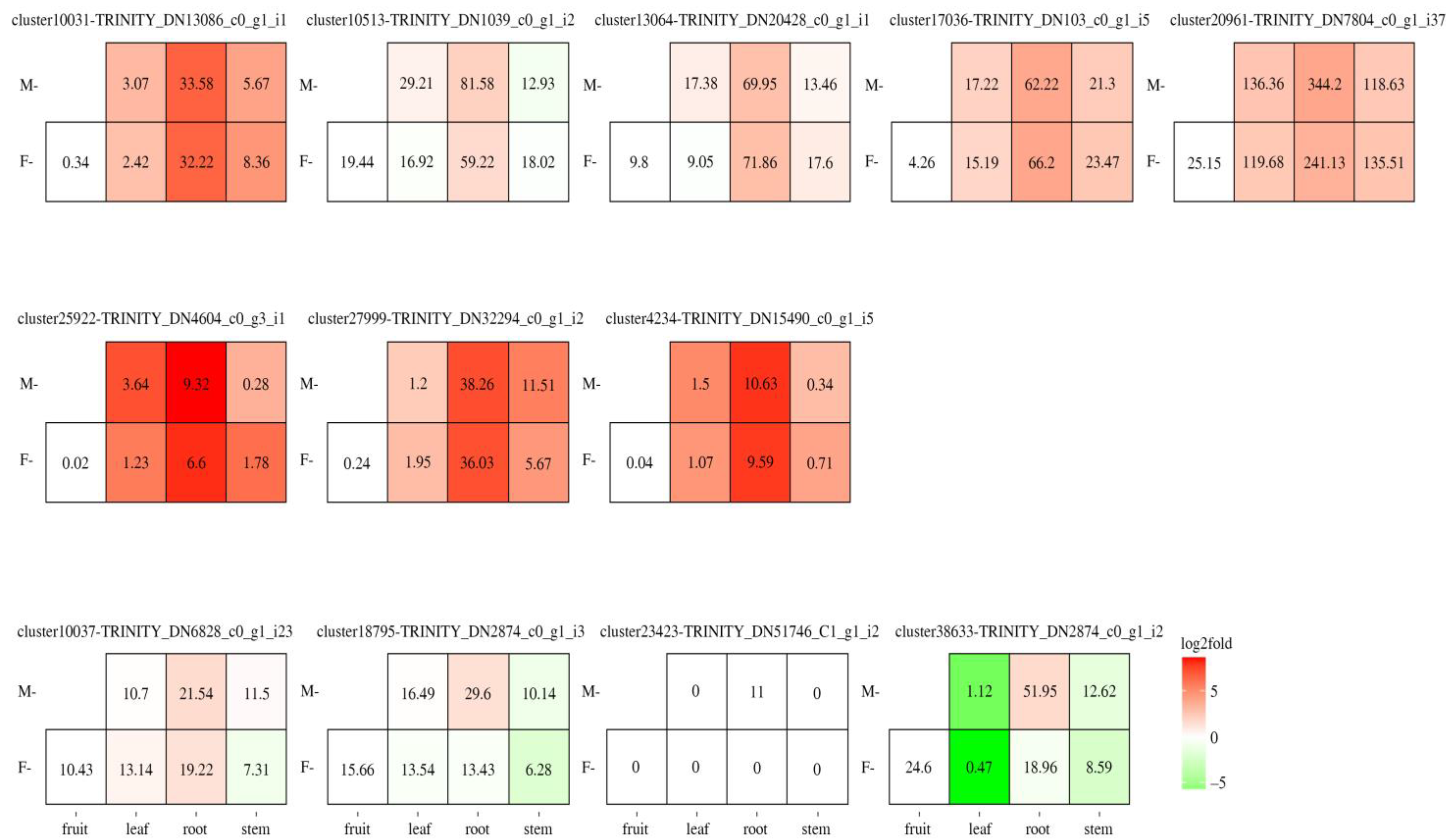 Agronomy 14 00576 g004