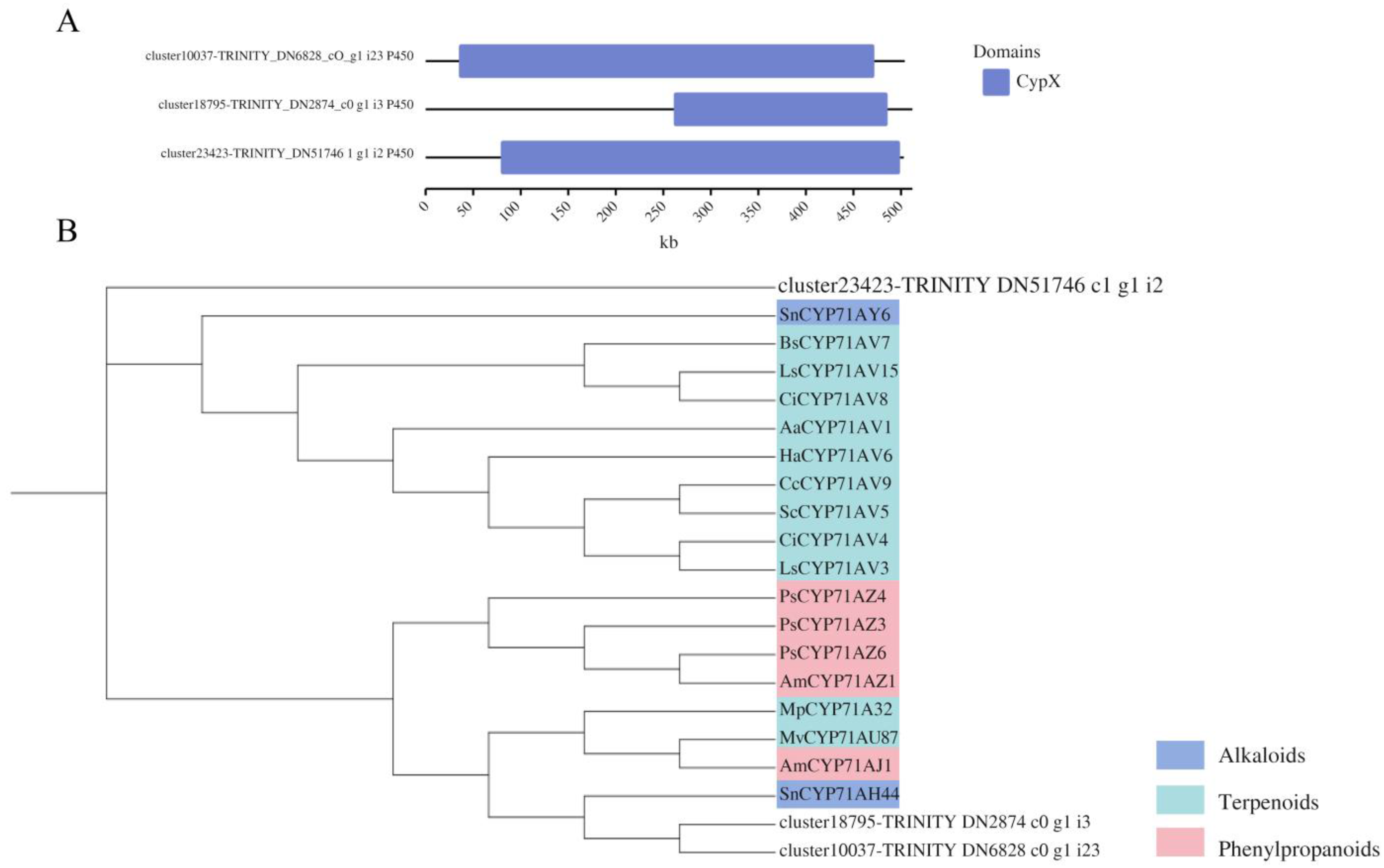 Agronomy 14 00576 g005