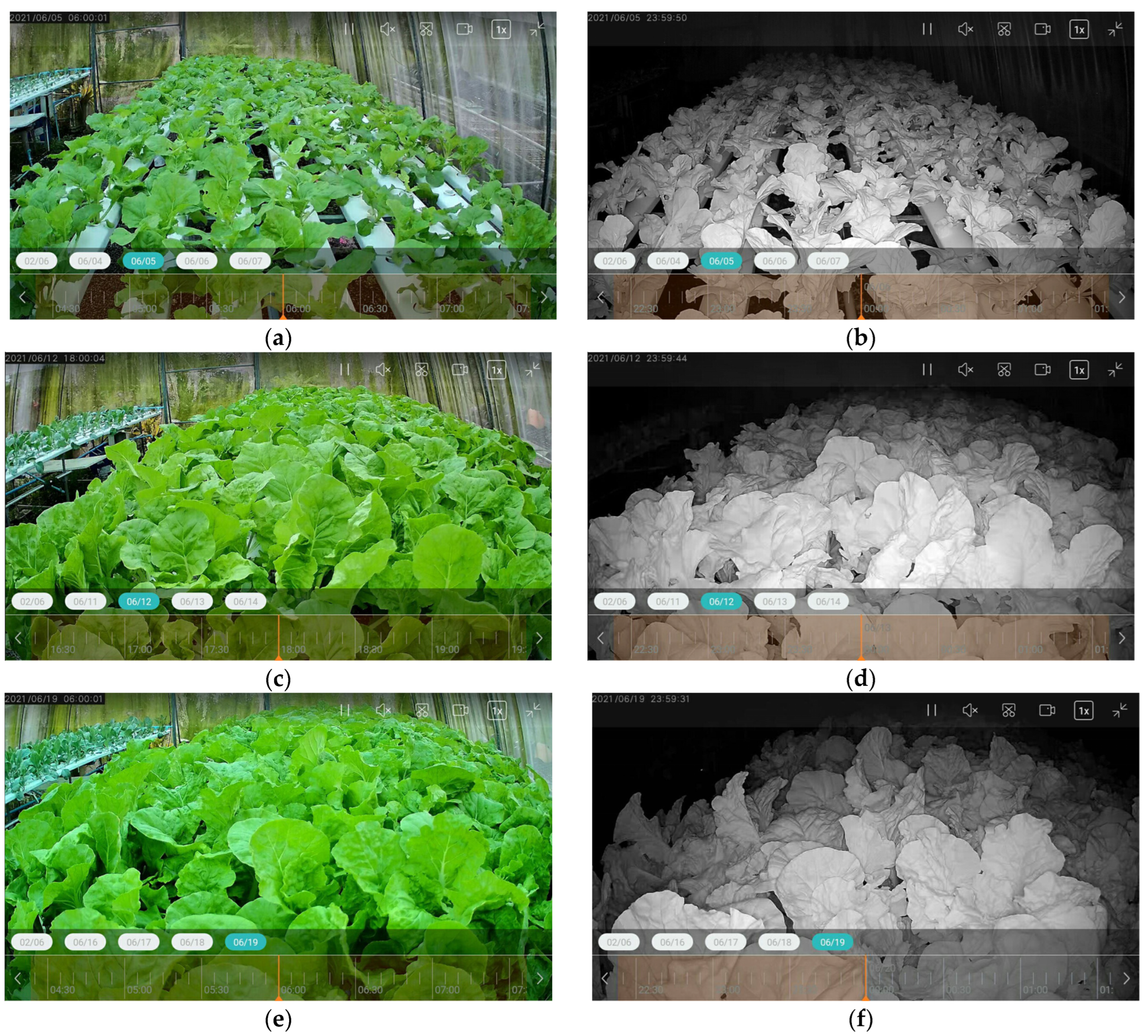 Agronomy 14 00579 g020