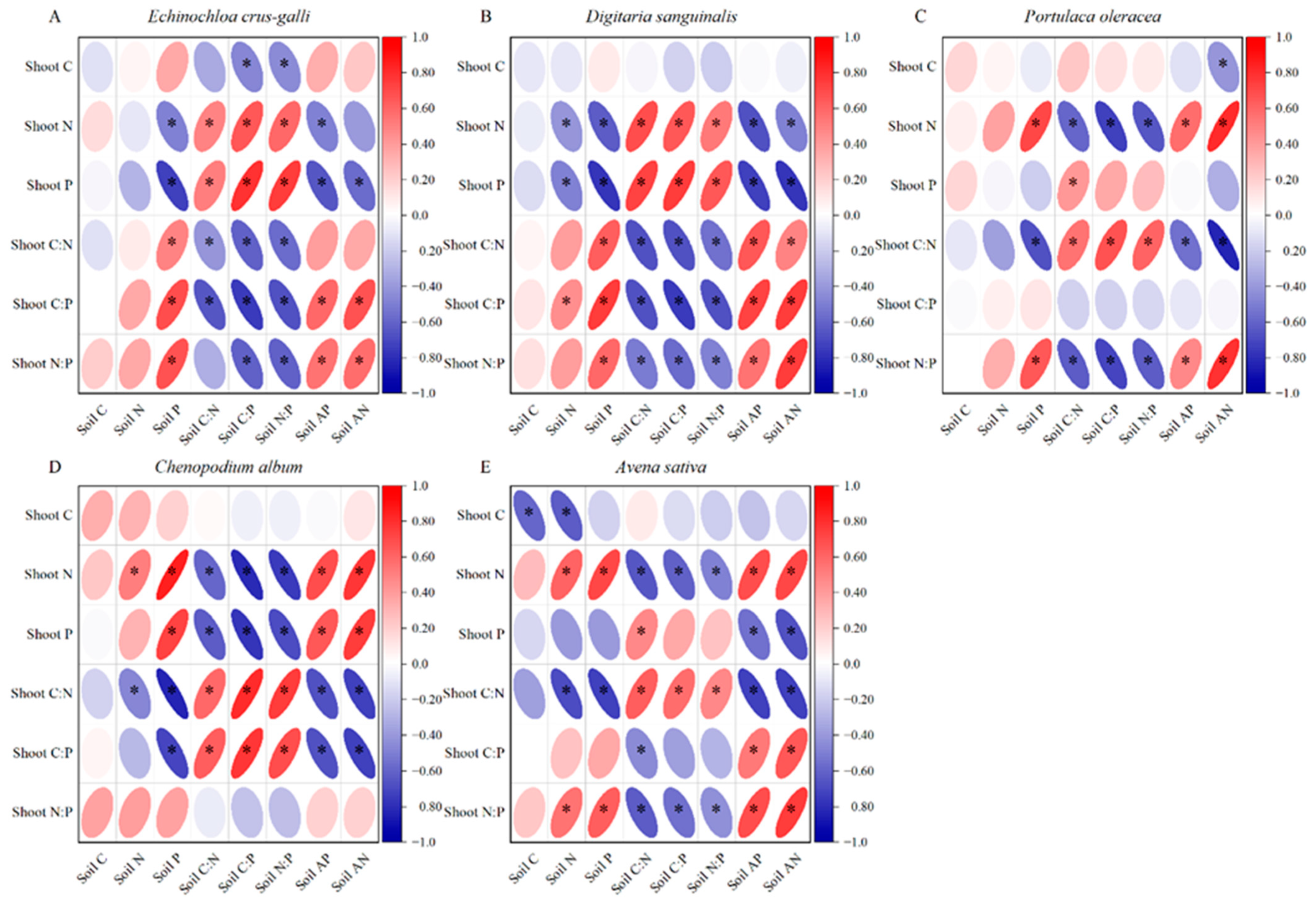 Agronomy 14 00583 g004 Agronomy 14 00583 g004