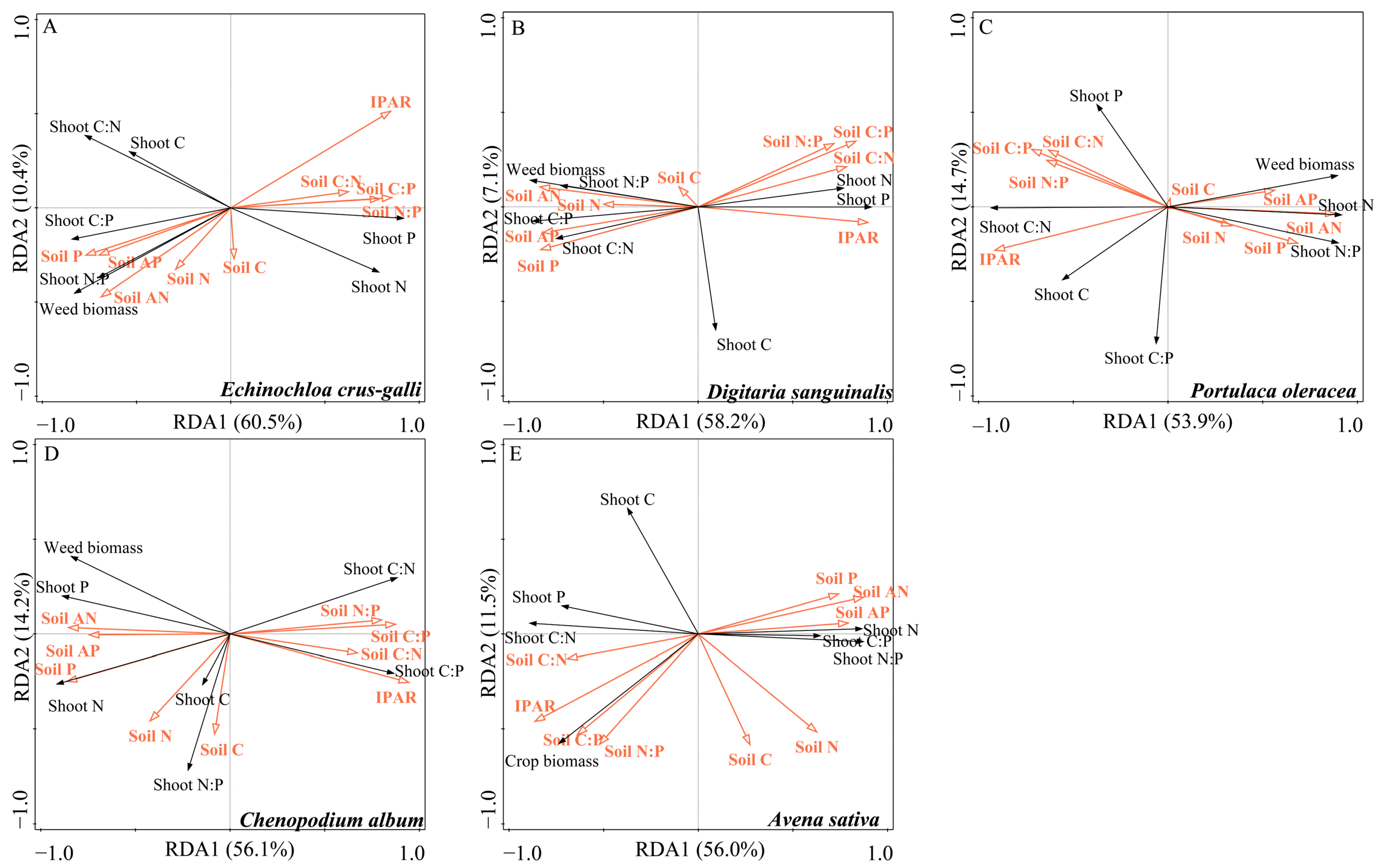 Agronomy 14 00583 g005 Agronomy 14 00583 g005