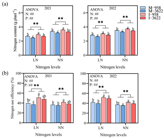Interplanting of Corn (Zea mays L.) Shifts Nitrogen