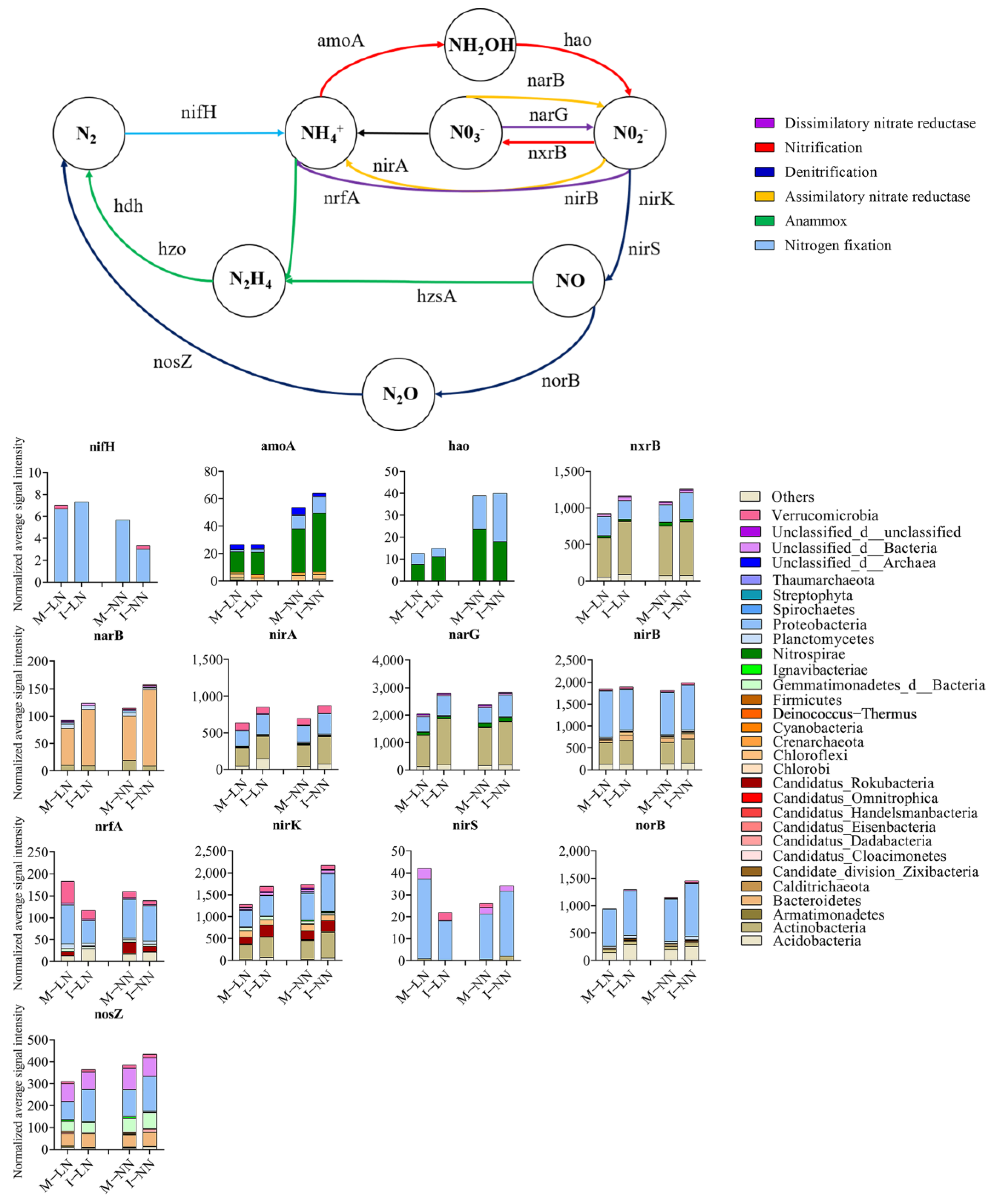 Agronomy 14 00586 g005
