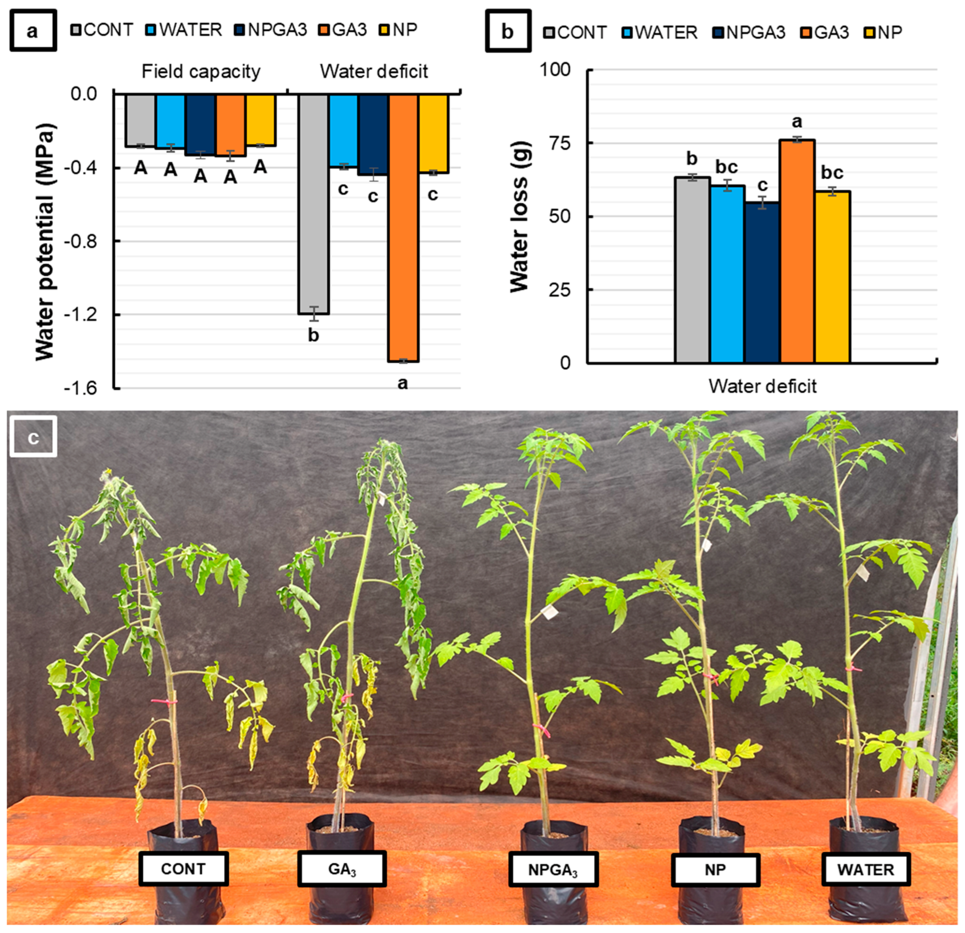 Agronomy 14 00588 g003 Agronomy 14 00588 g003