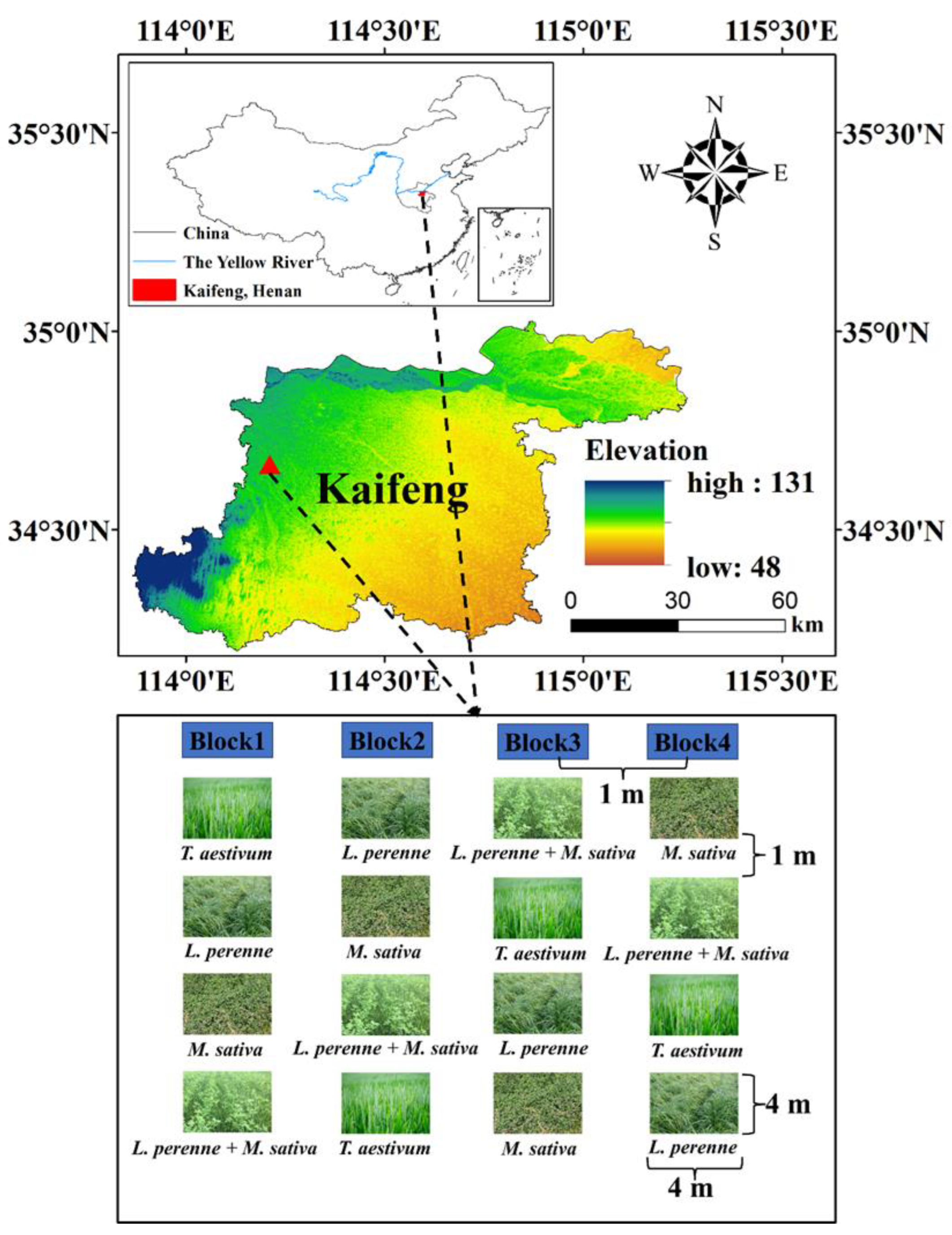 Agronomy 14 00594 g001