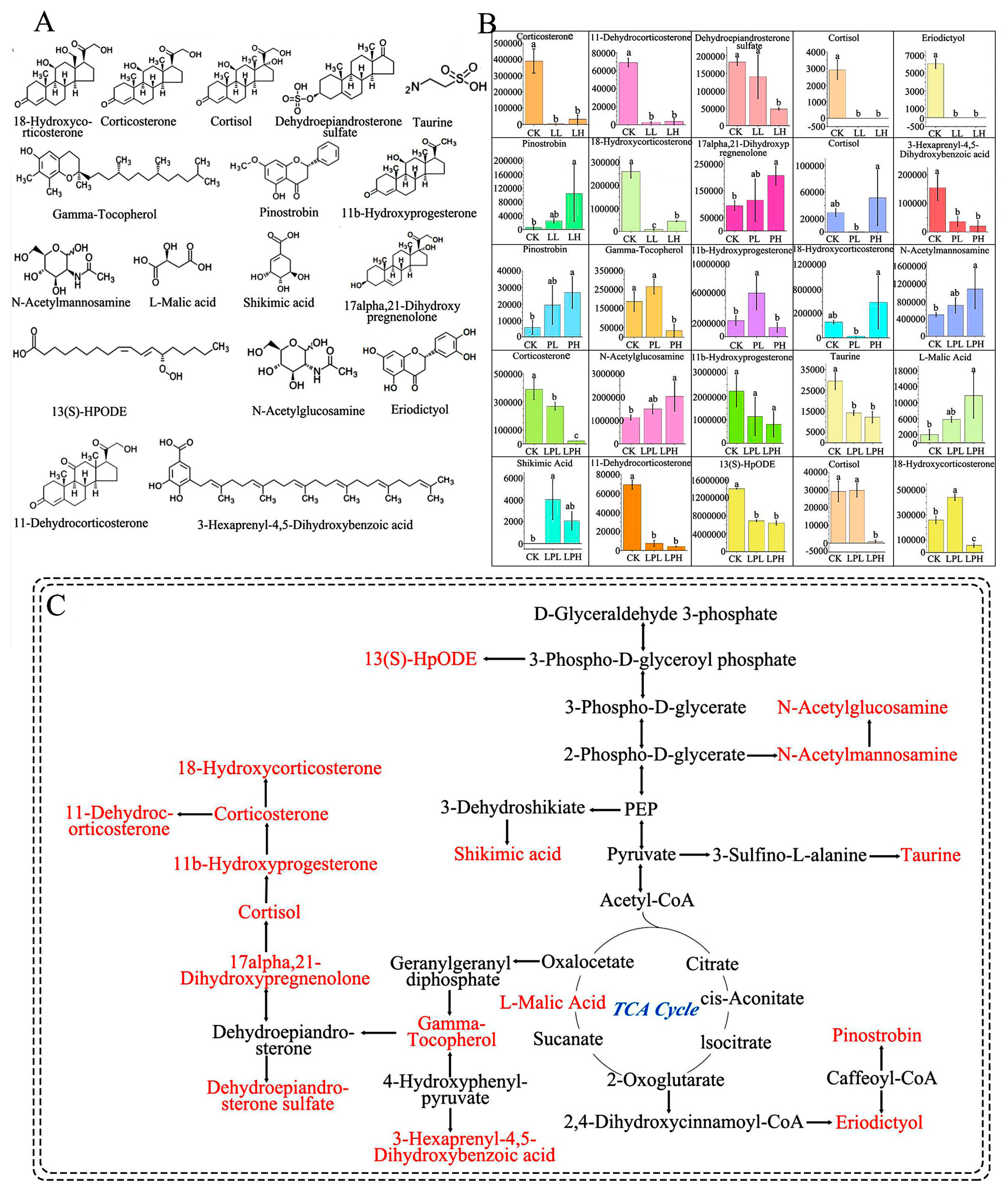 Agronomy 14 00601 g006