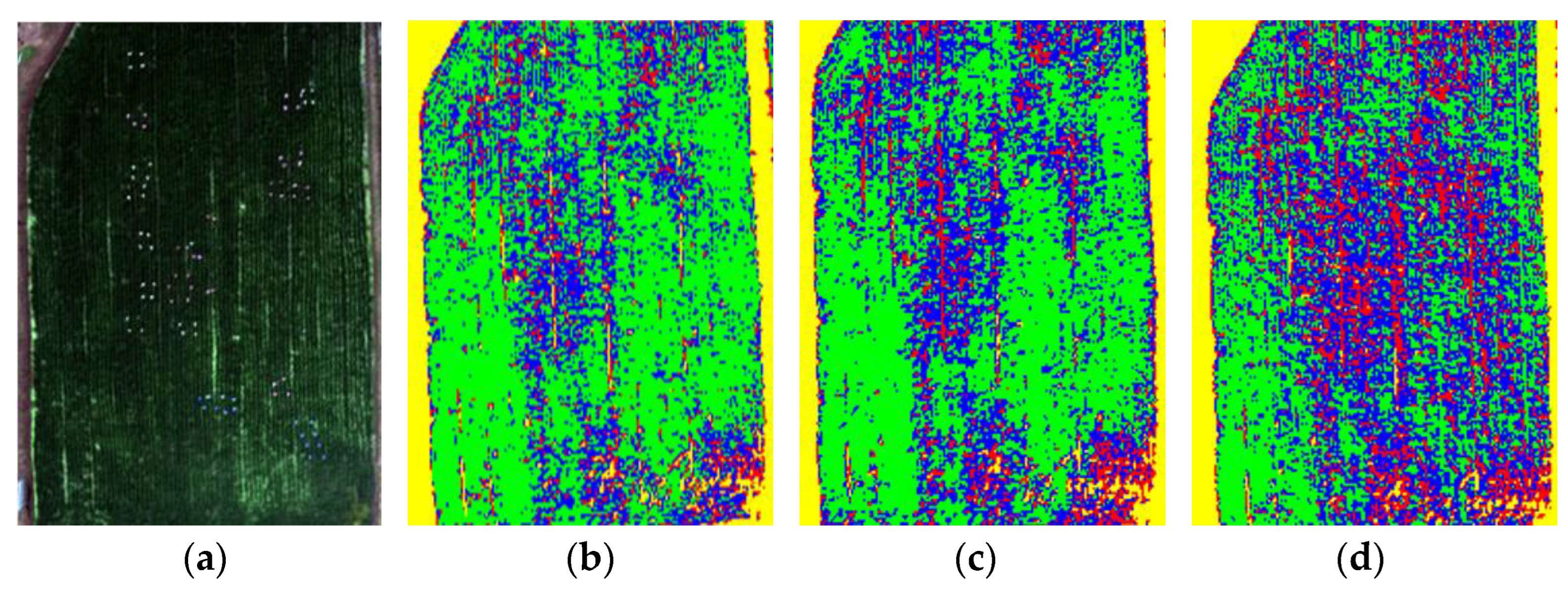 Agronomy 14 00602 g011