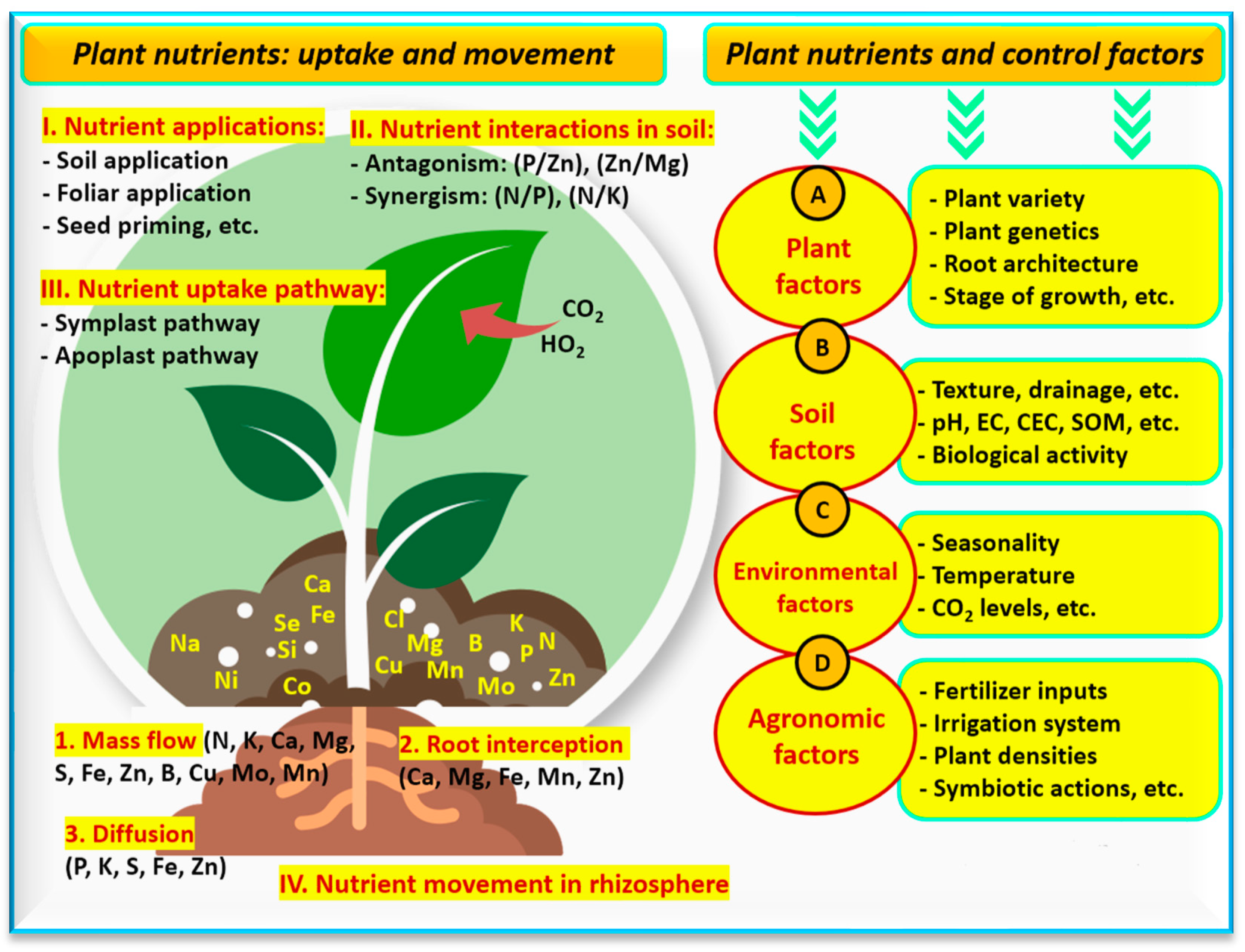 Agronomy 14 00606 g005