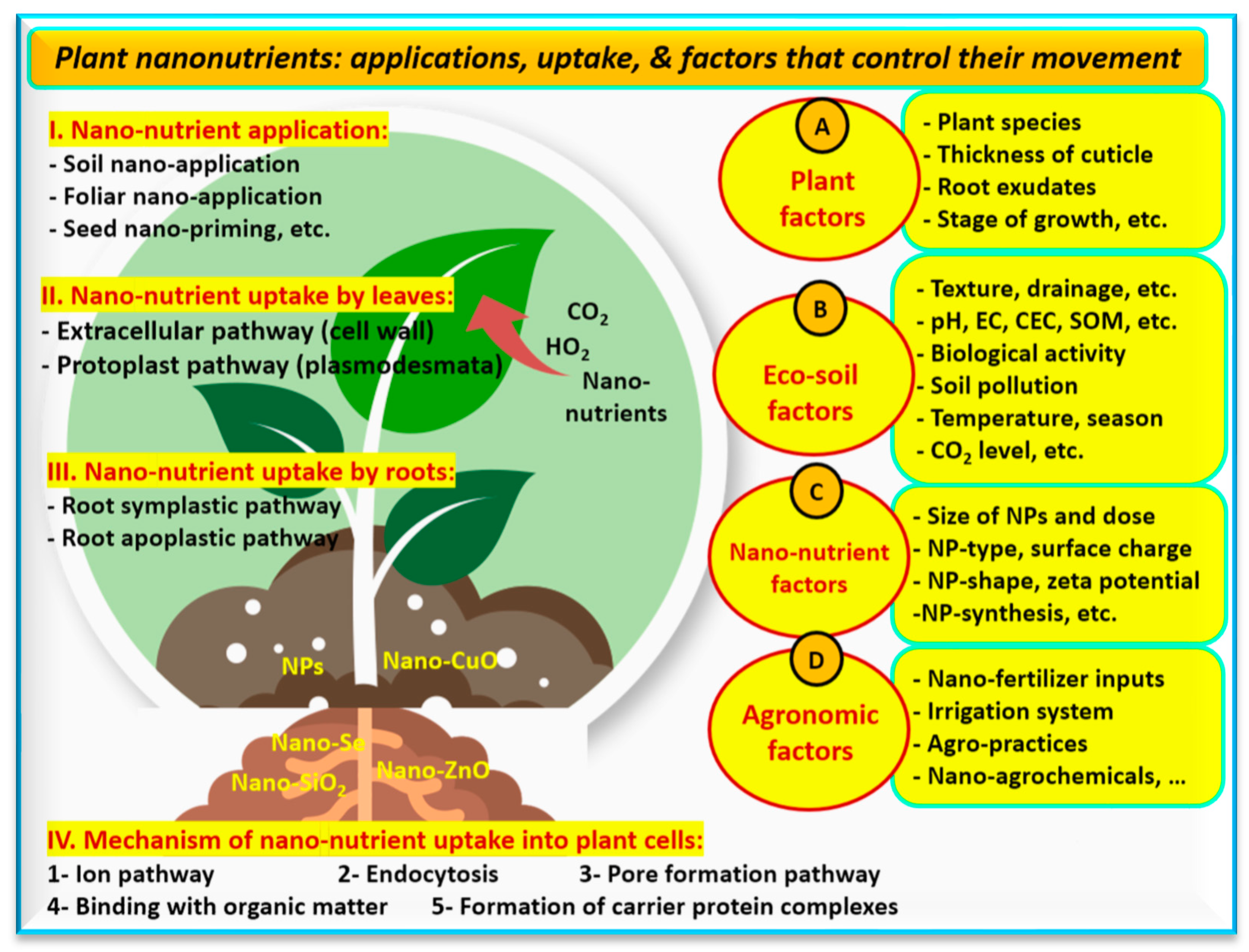 Agronomy 14 00606 g006