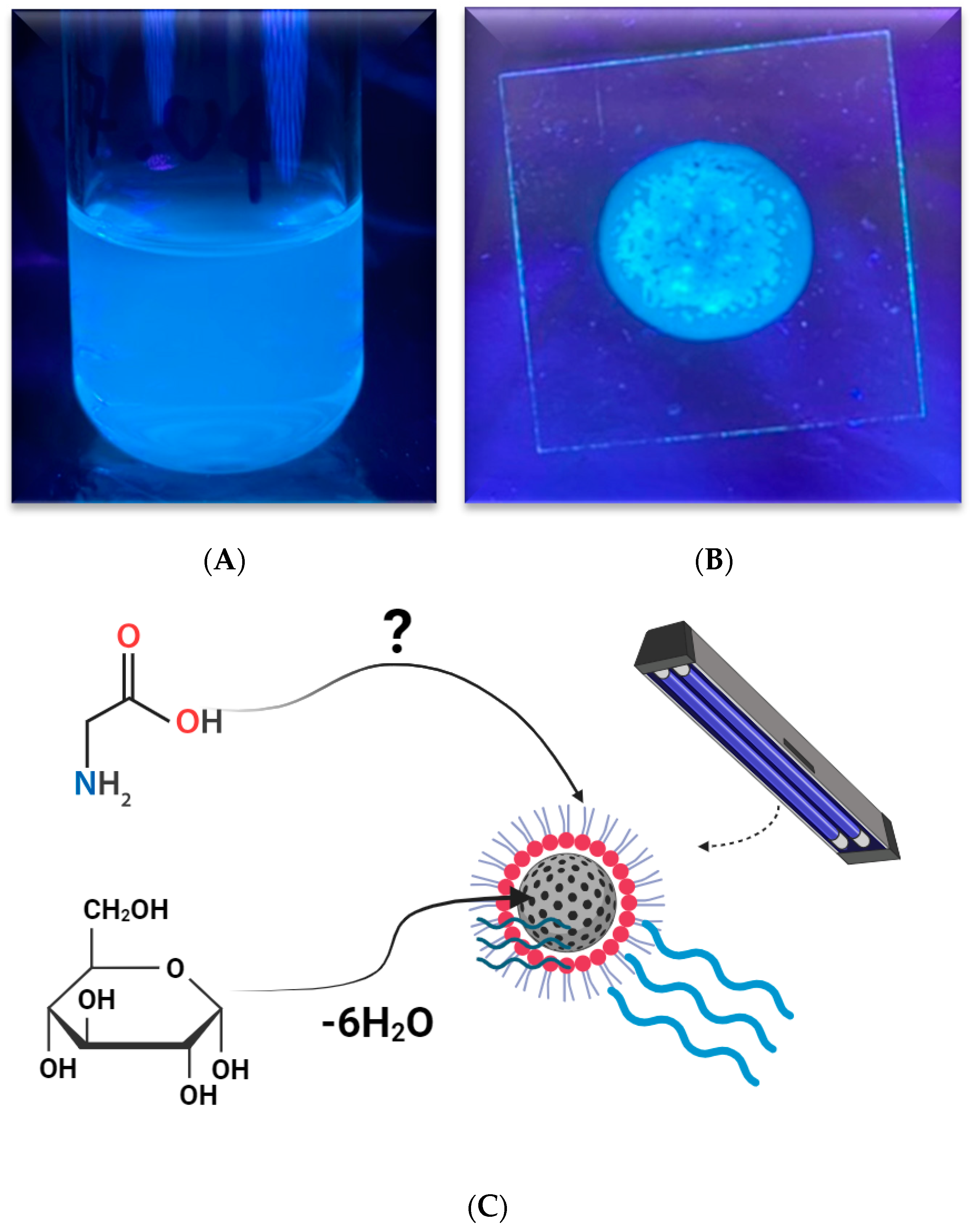 Agronomy 14 00606 g008