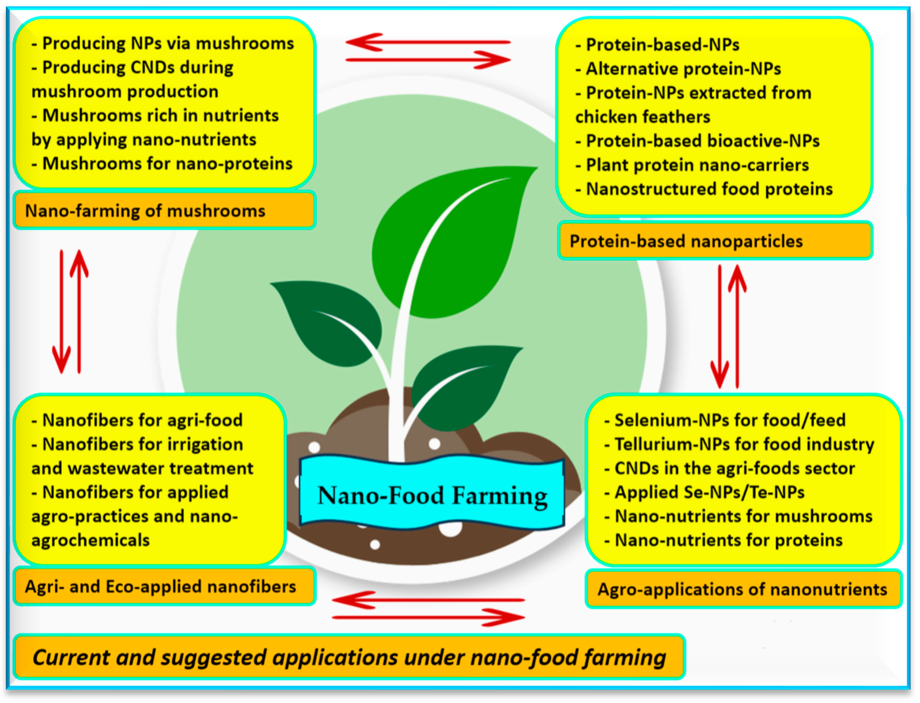 Agronomy 14 00606 g009