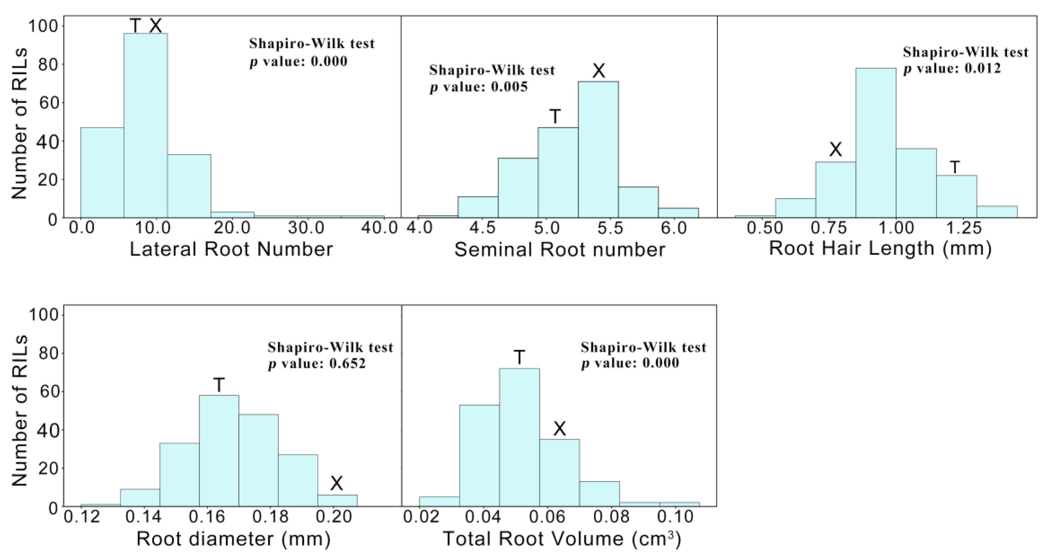Agronomy 14 00608 g001
