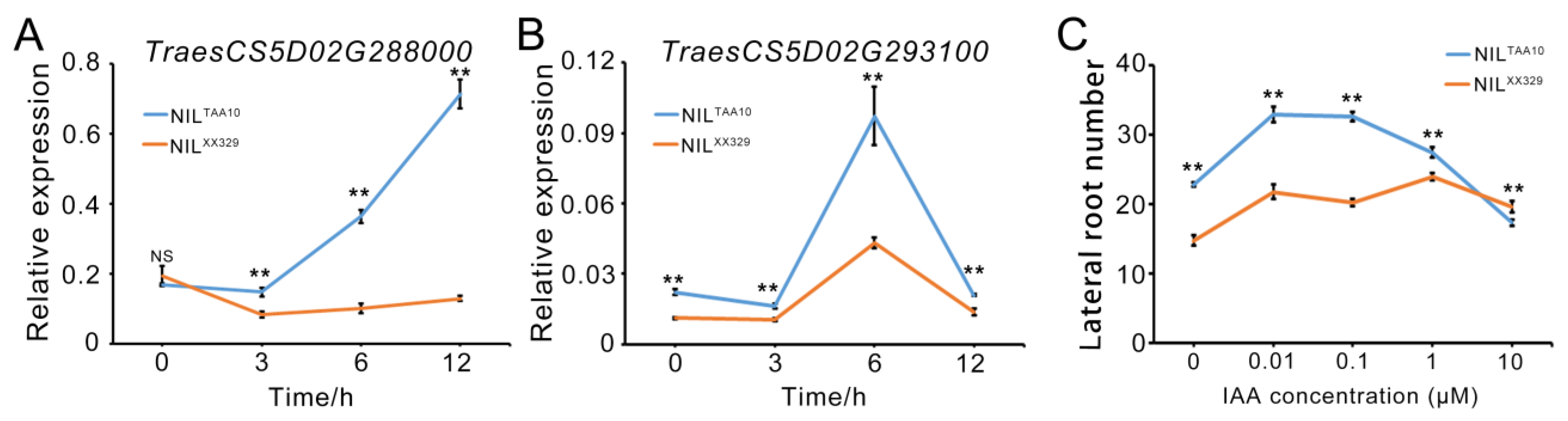 Agronomy 14 00608 g003