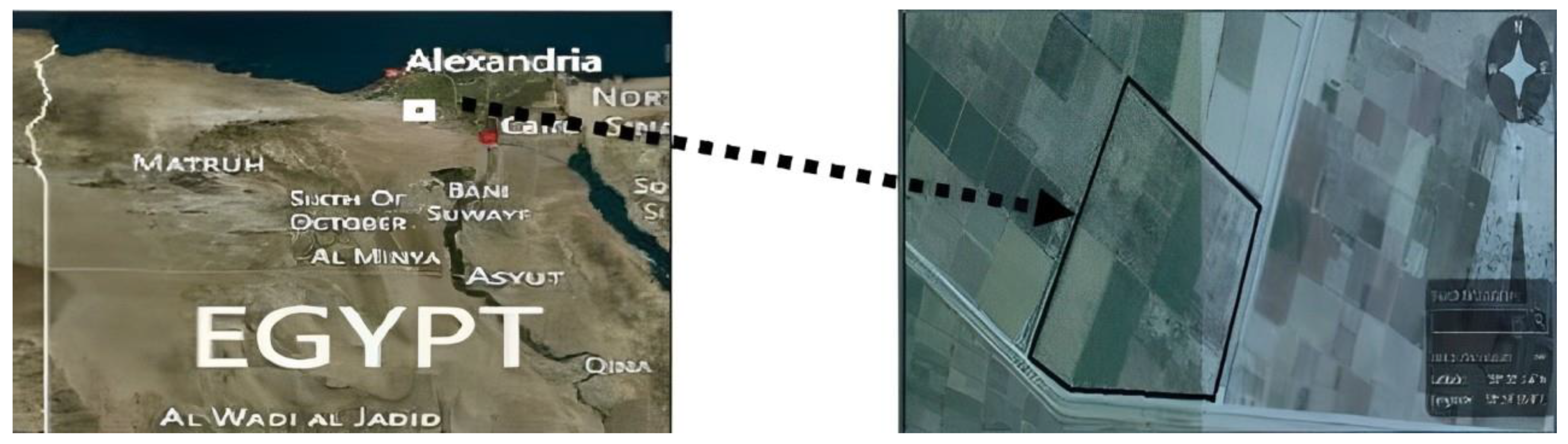 Agronomy 14 00611 g001 Agronomy 14 00611 g001