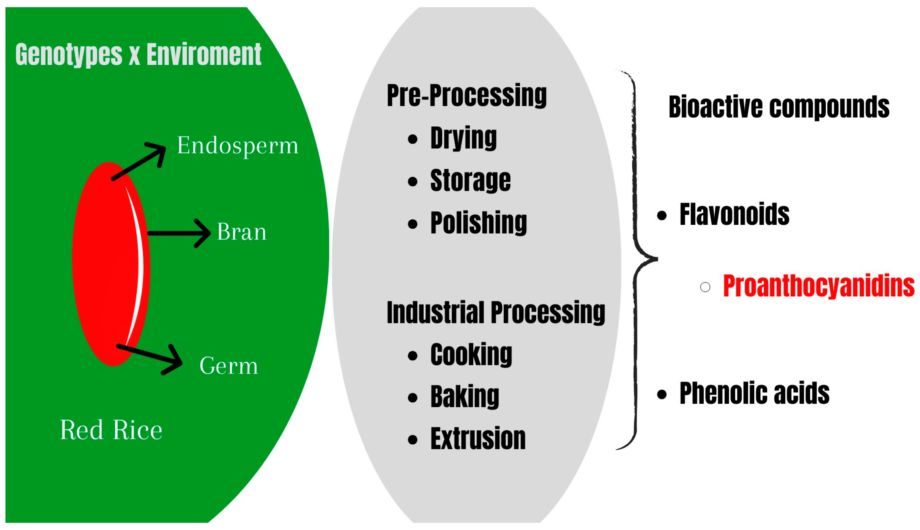 Agronomy 14 00616 g002 Agronomy 14 00616 g002