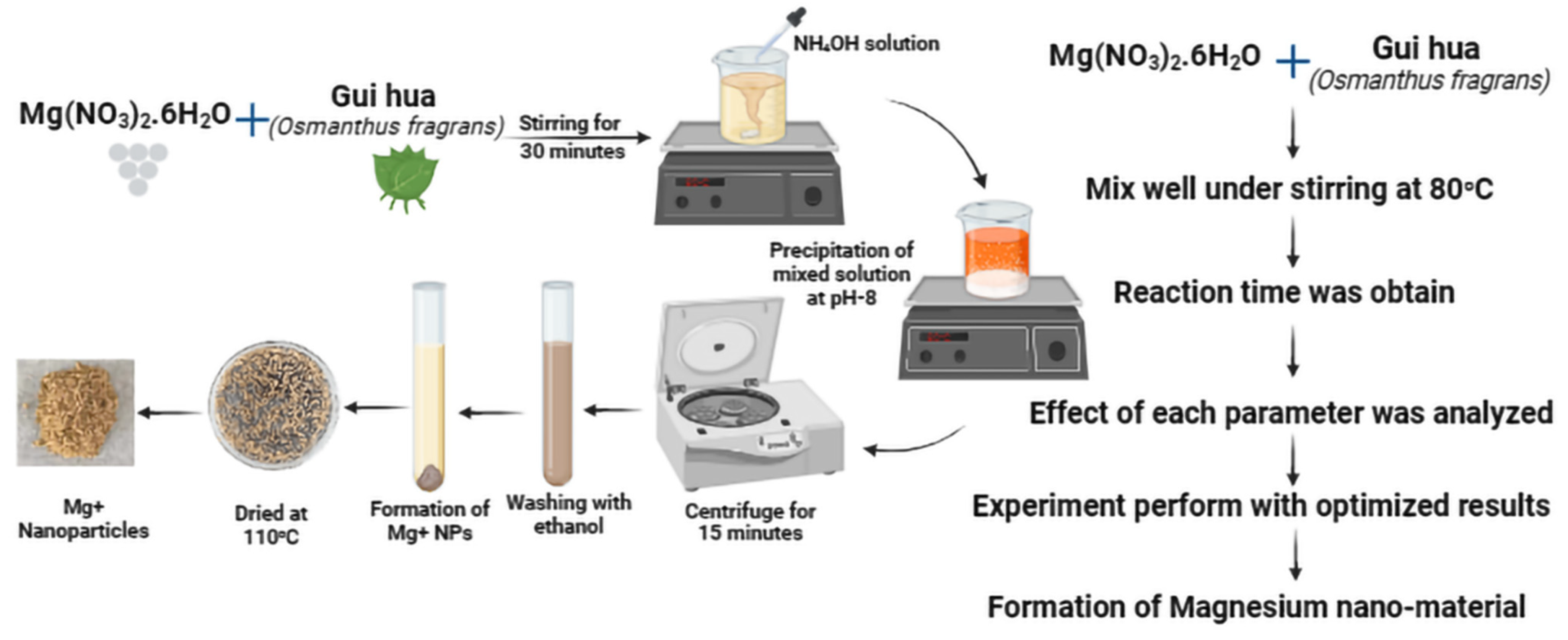 Agronomy 14 00617 g001