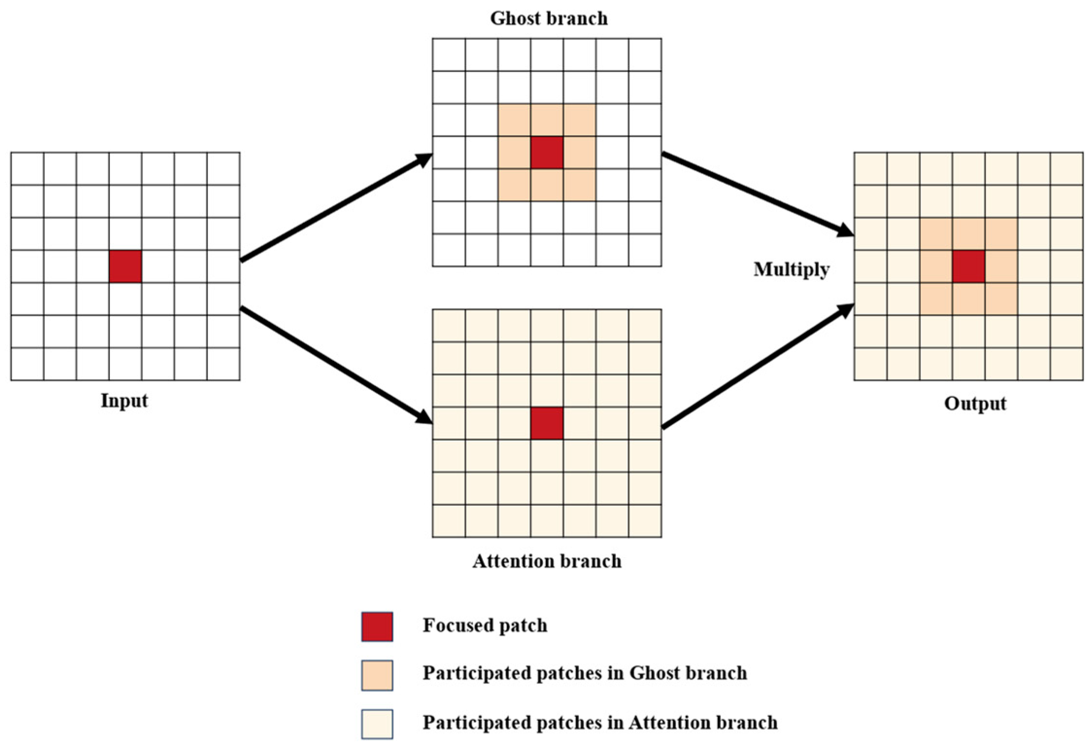 Agronomy 14 00618 g004