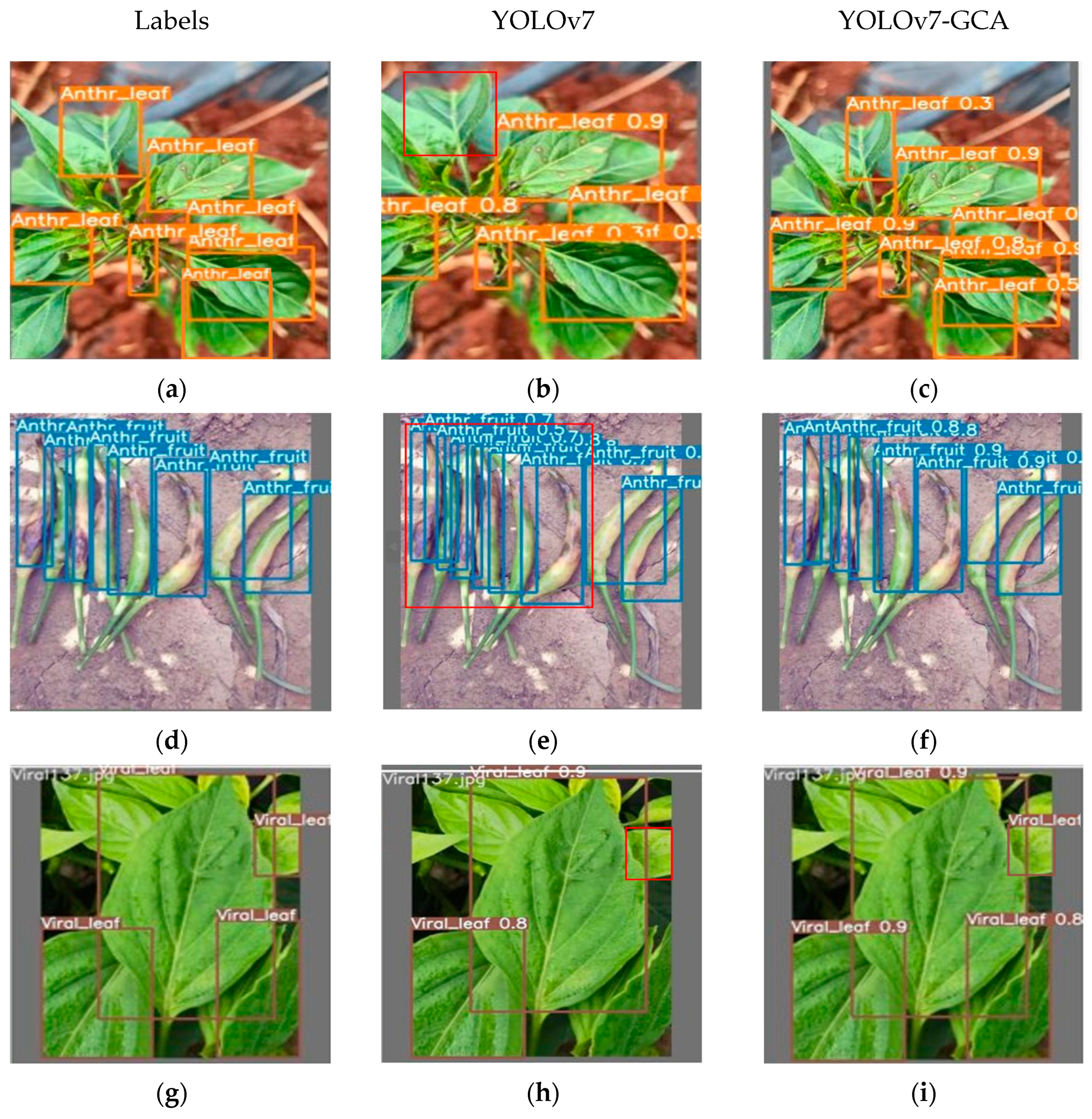 Agronomy 14 00618 g010