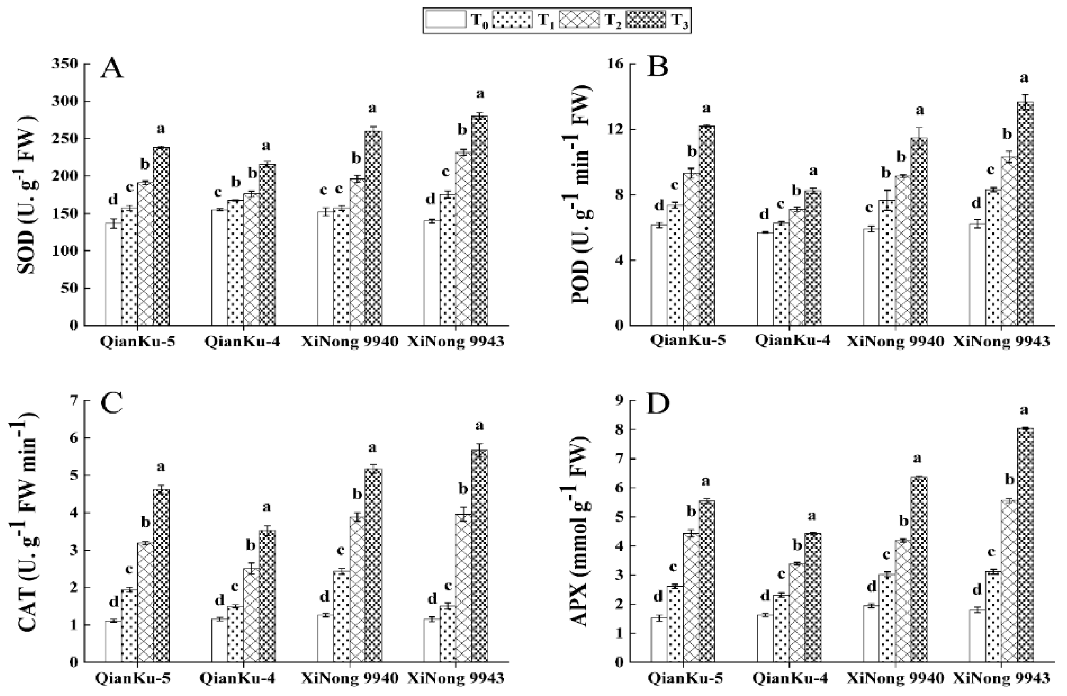 Agronomy 14 00619 g006