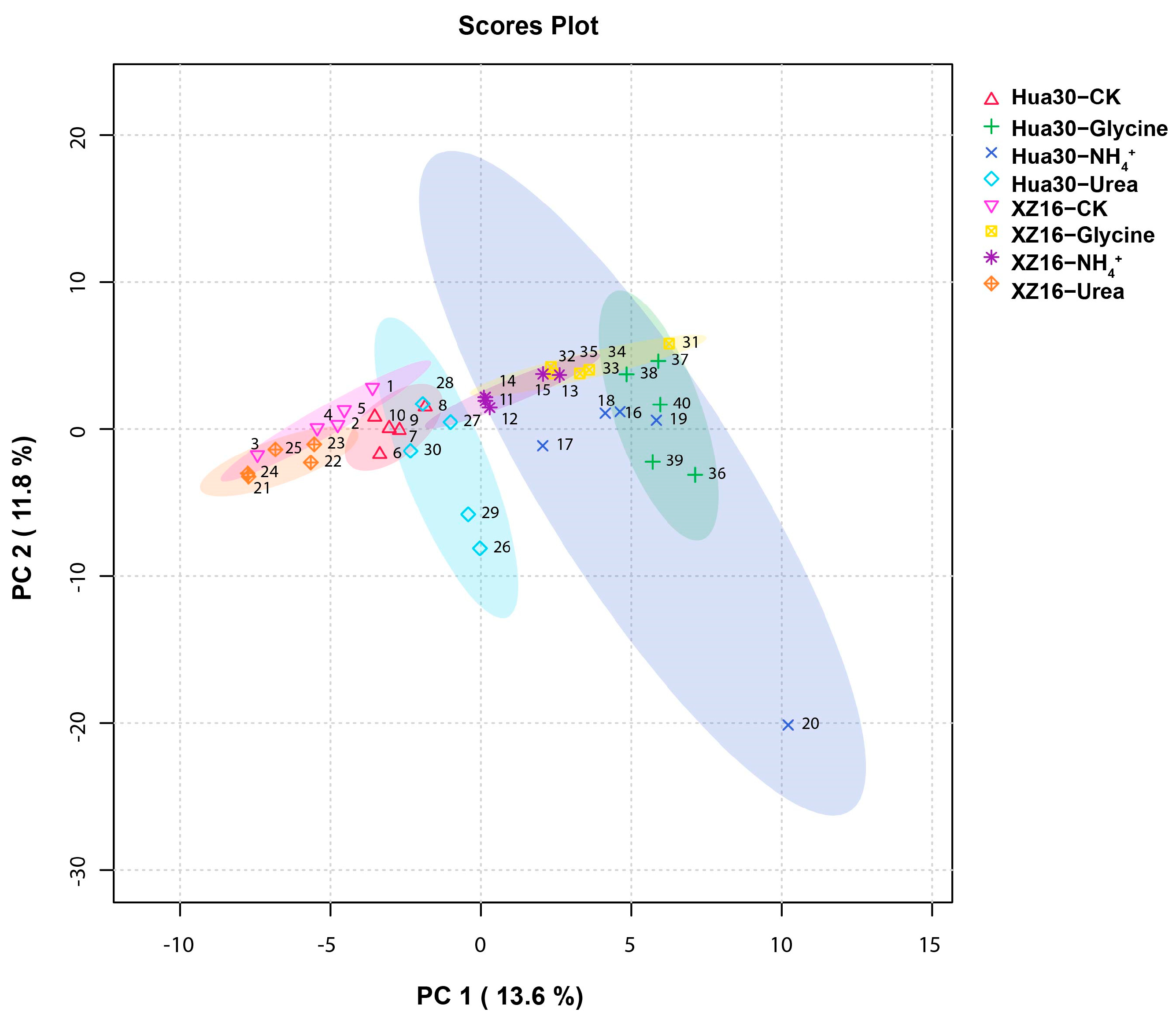 Agronomy 14 00621 g002