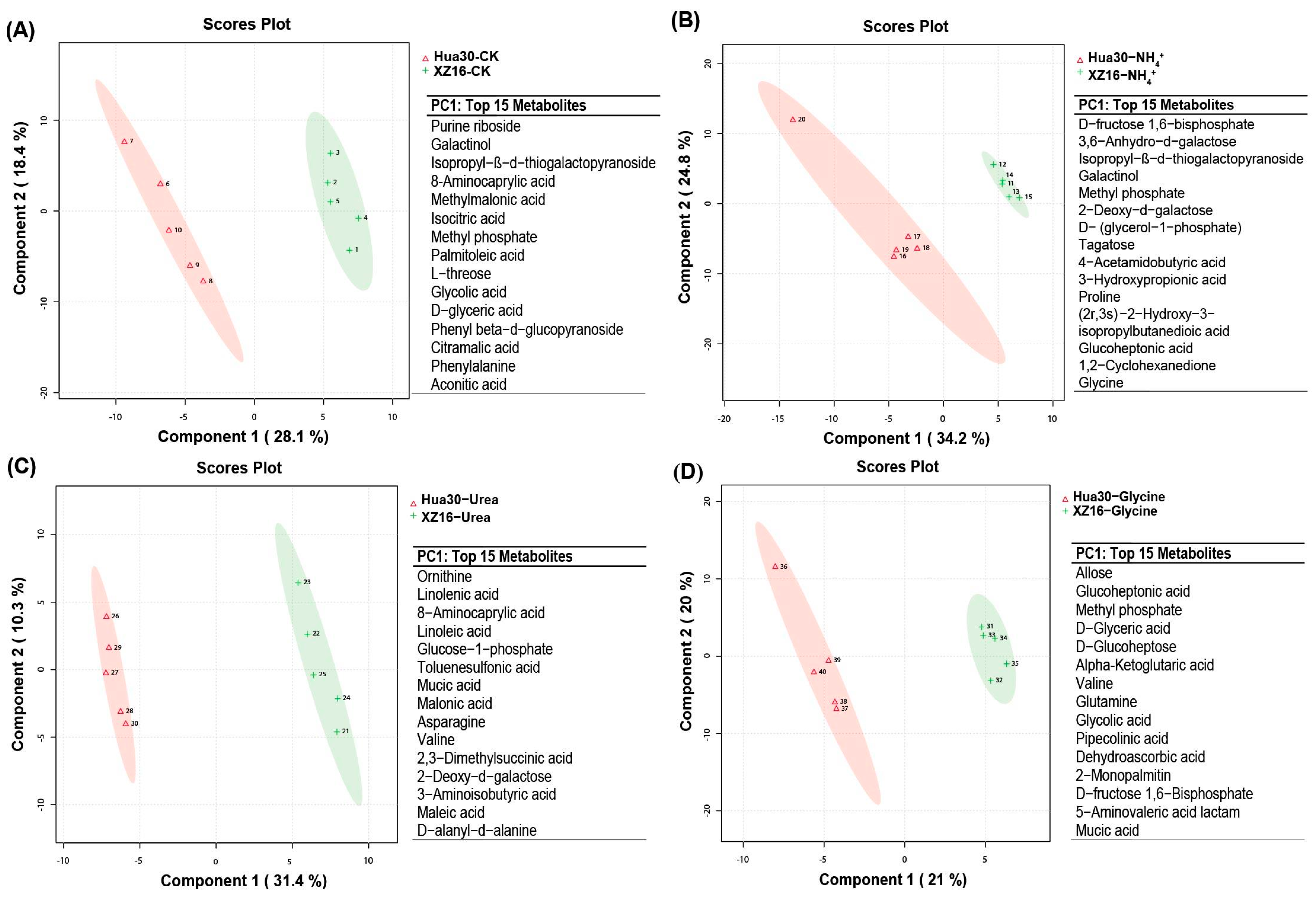 Agronomy 14 00621 g003