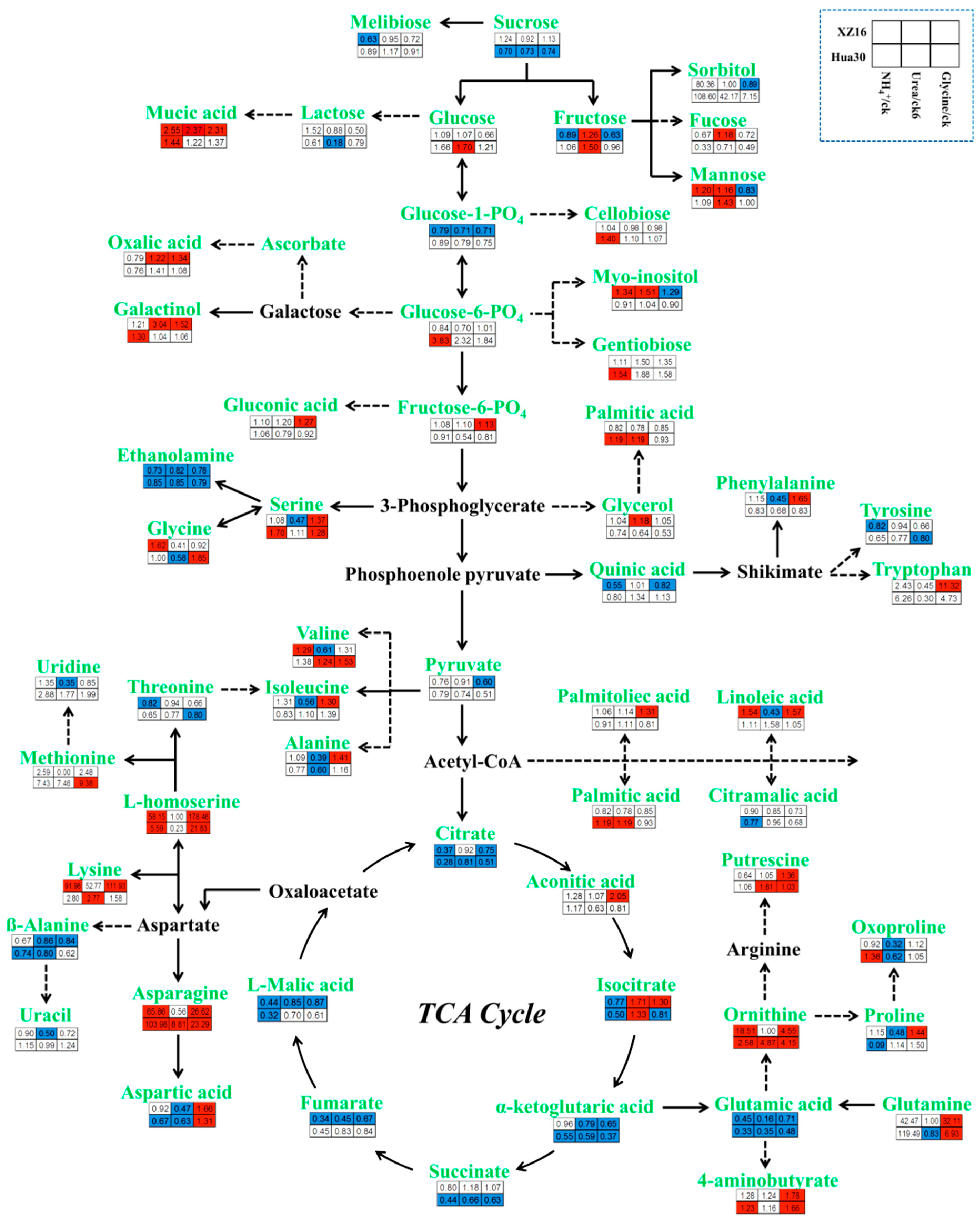 Agronomy 14 00621 g005