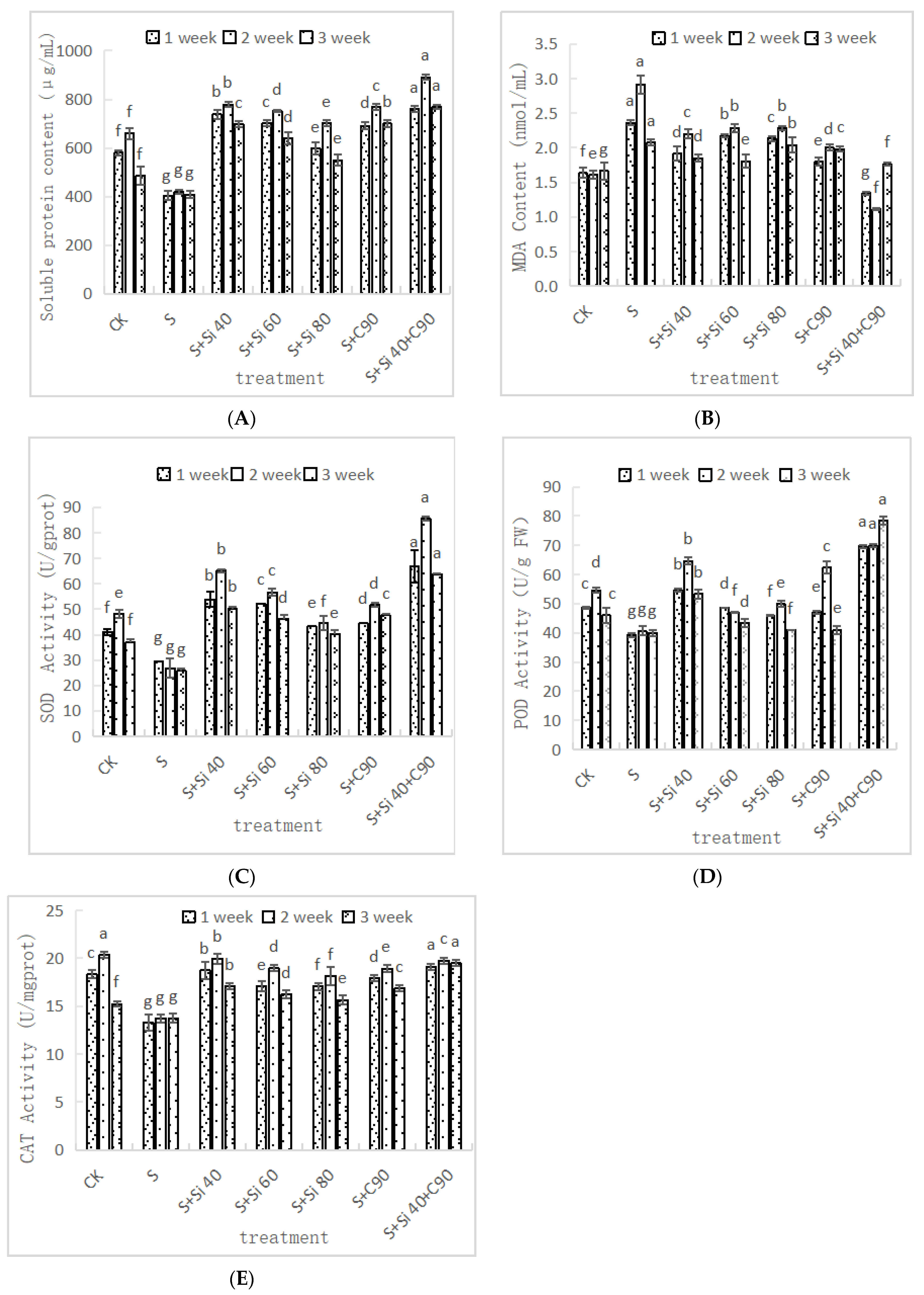 Agronomy 14 00622 g002