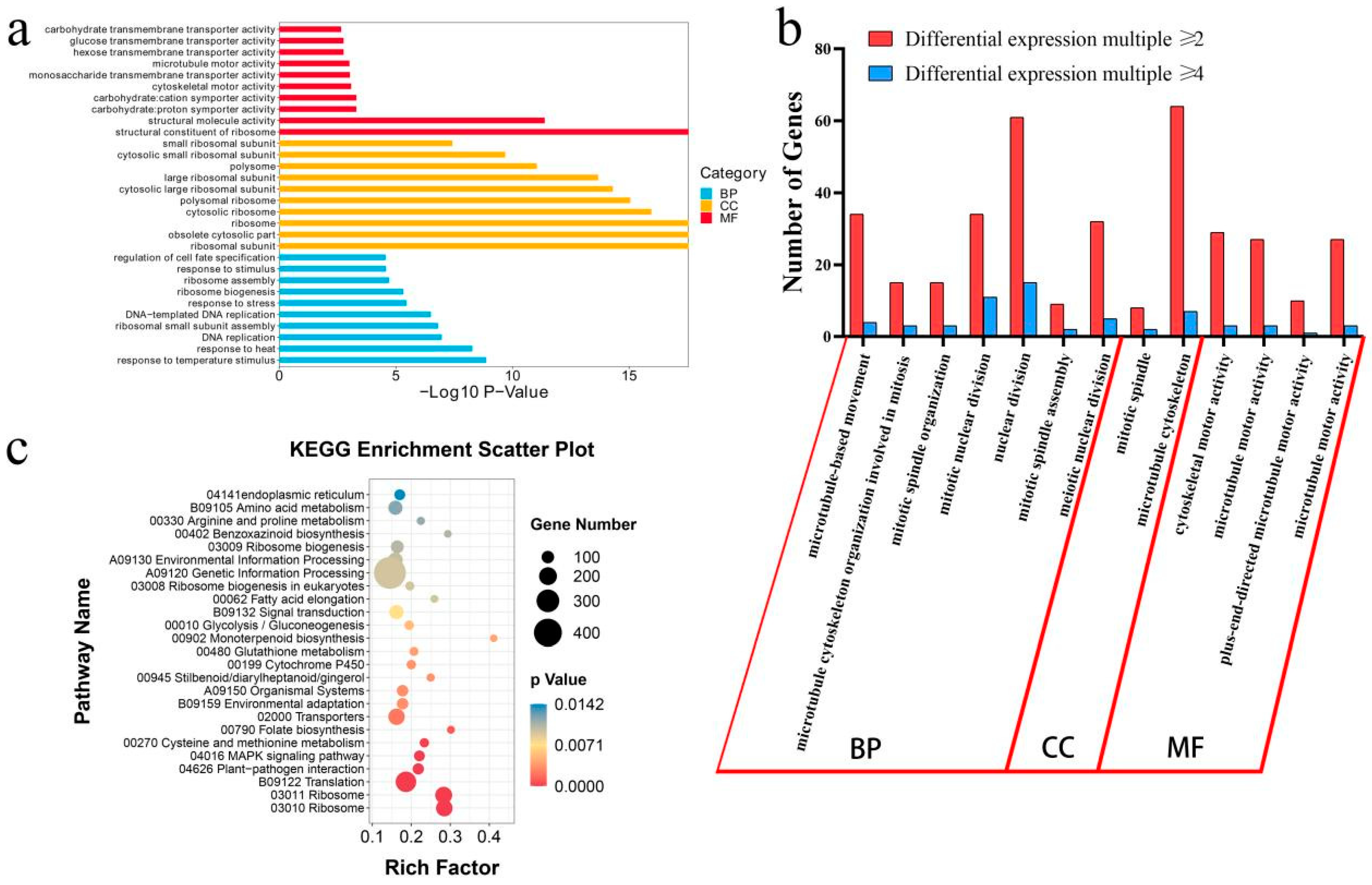 Agronomy 14 00624 g004 Agronomy 14 00624 g004